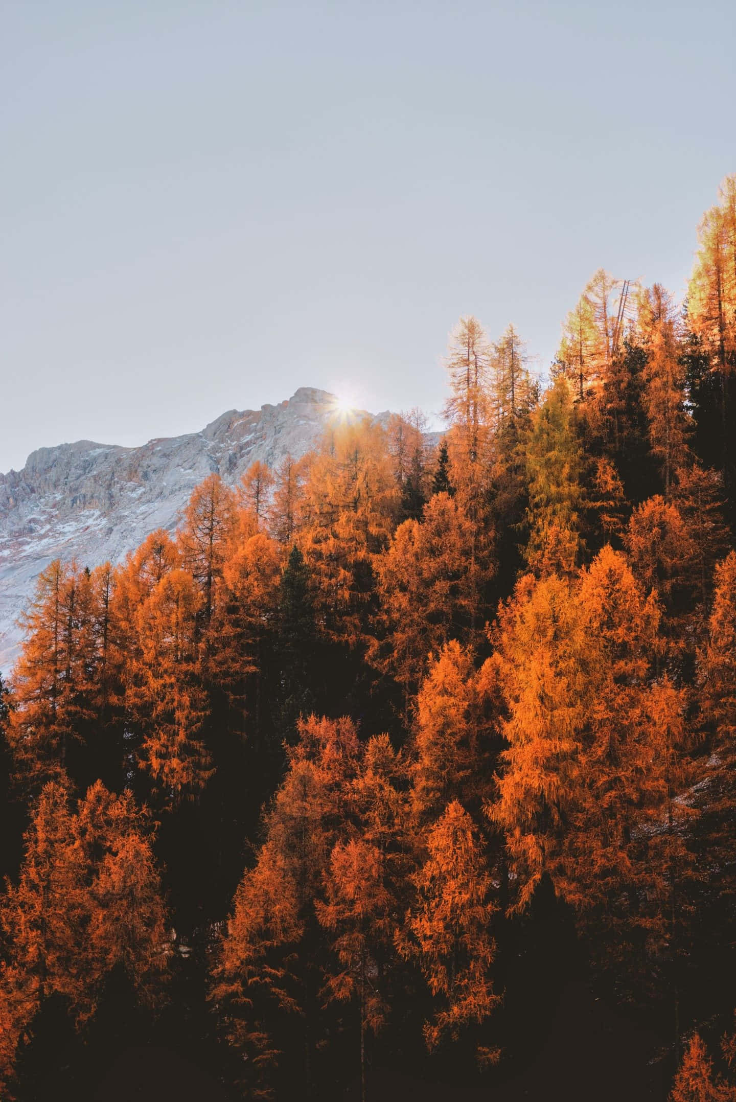 Fall Leaves iPhone, mountains, snowy mountain peak, Full HD Phone Wallpaper