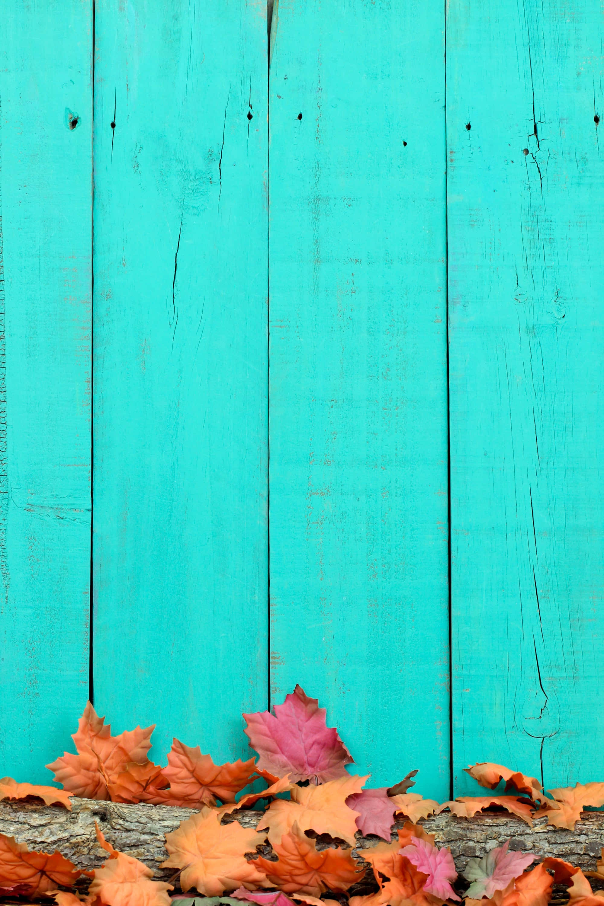 Fall Leaves iPhone, turquoise, wooden fences, 2K Phone Wallpaper