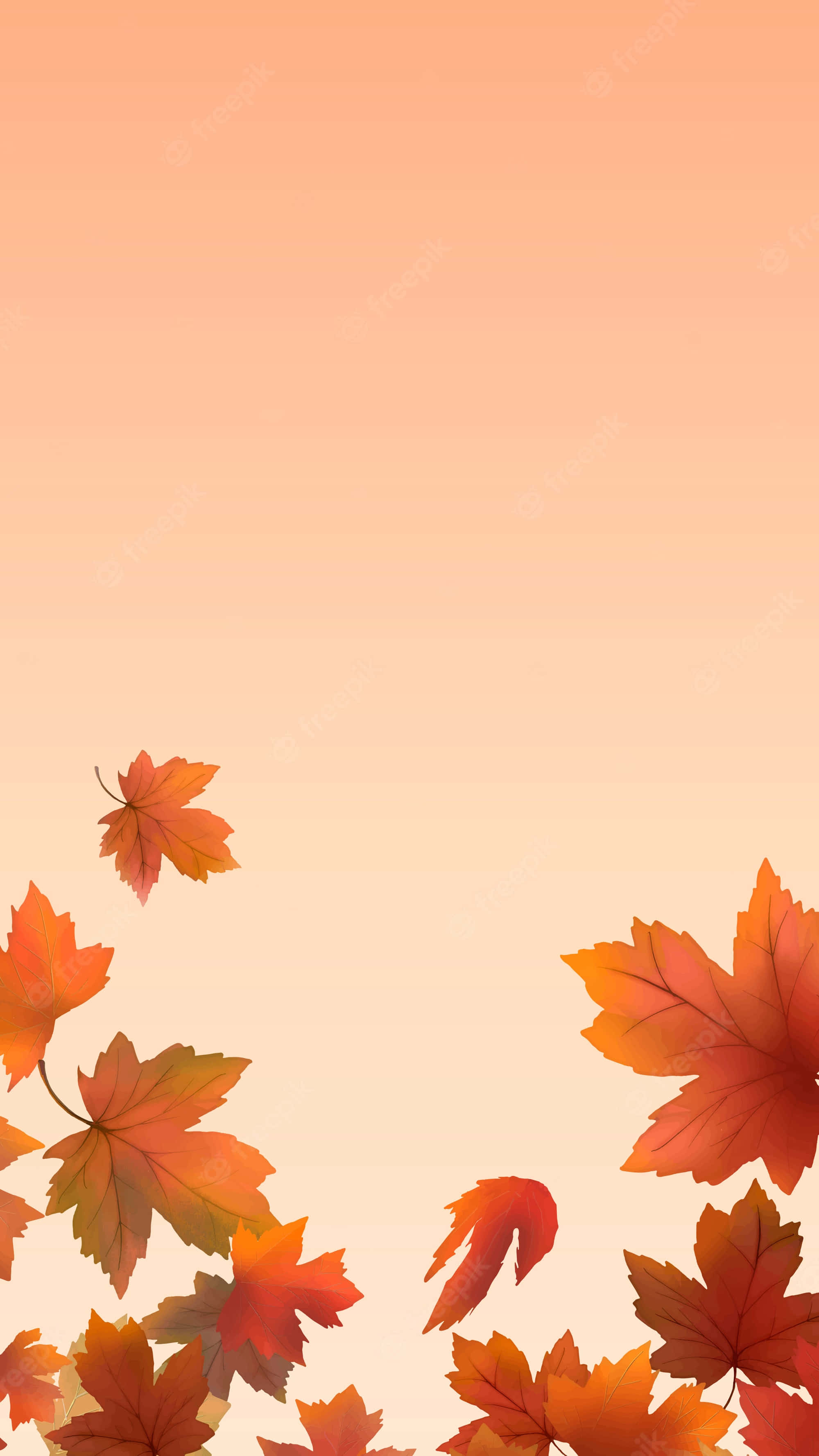 Orange Fall Leaves iPhone, autumn maple leaves, warm orange hues, 2K Phone Wallpaper
