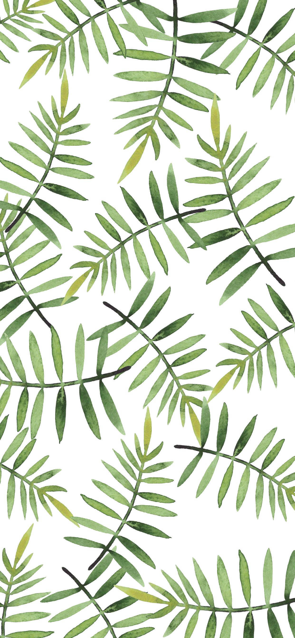 Dainty Leaves iPhone, watercolor fern leaves, varying green tones, 2K Phone Wallpaper