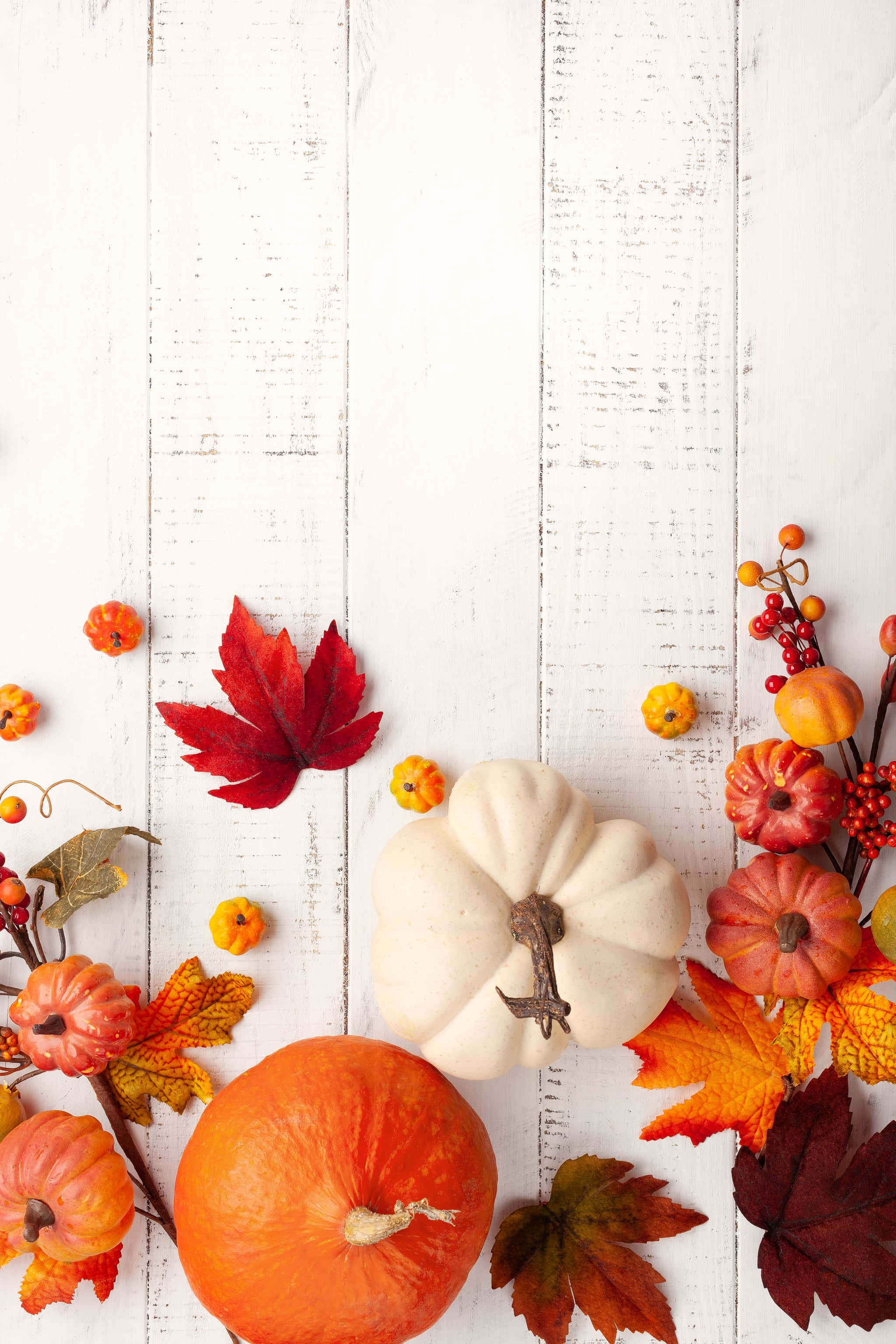 Pumpkins, Fall Leaves, white wooden surface, 2K Phone Wallpaper