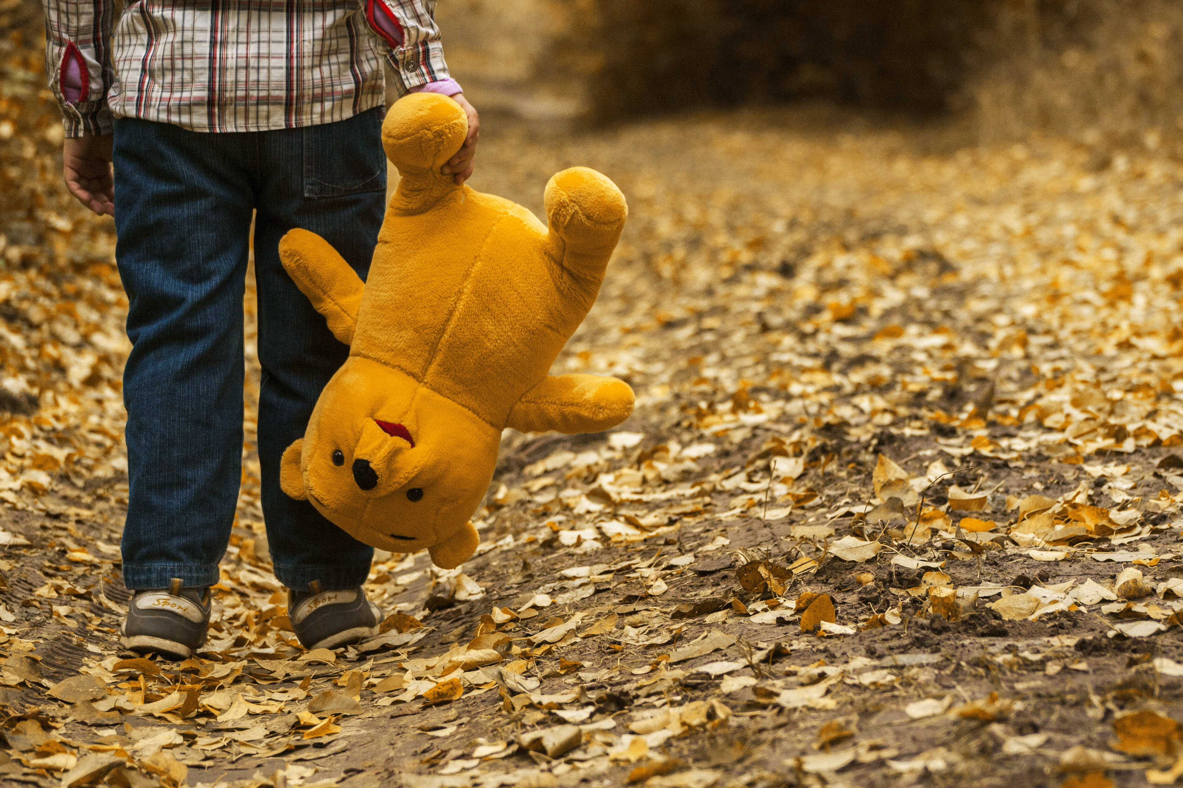 Fall Leaves Boy With Teddy, golden autumn leaves, forest path, 4K Desktop Wallpaper