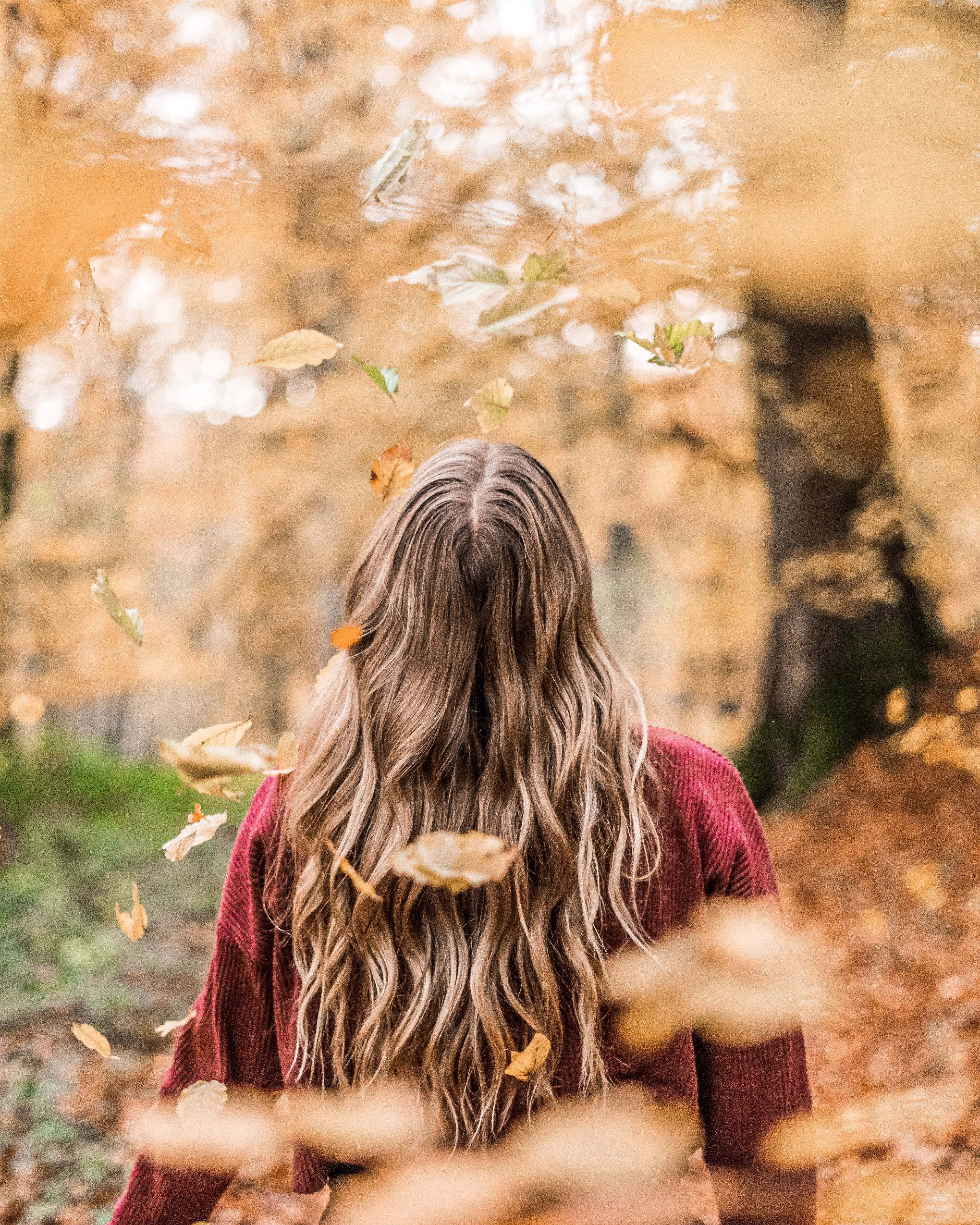 falling fall leaves, golden autumn leaves, forest, 4K Phone Wallpaper