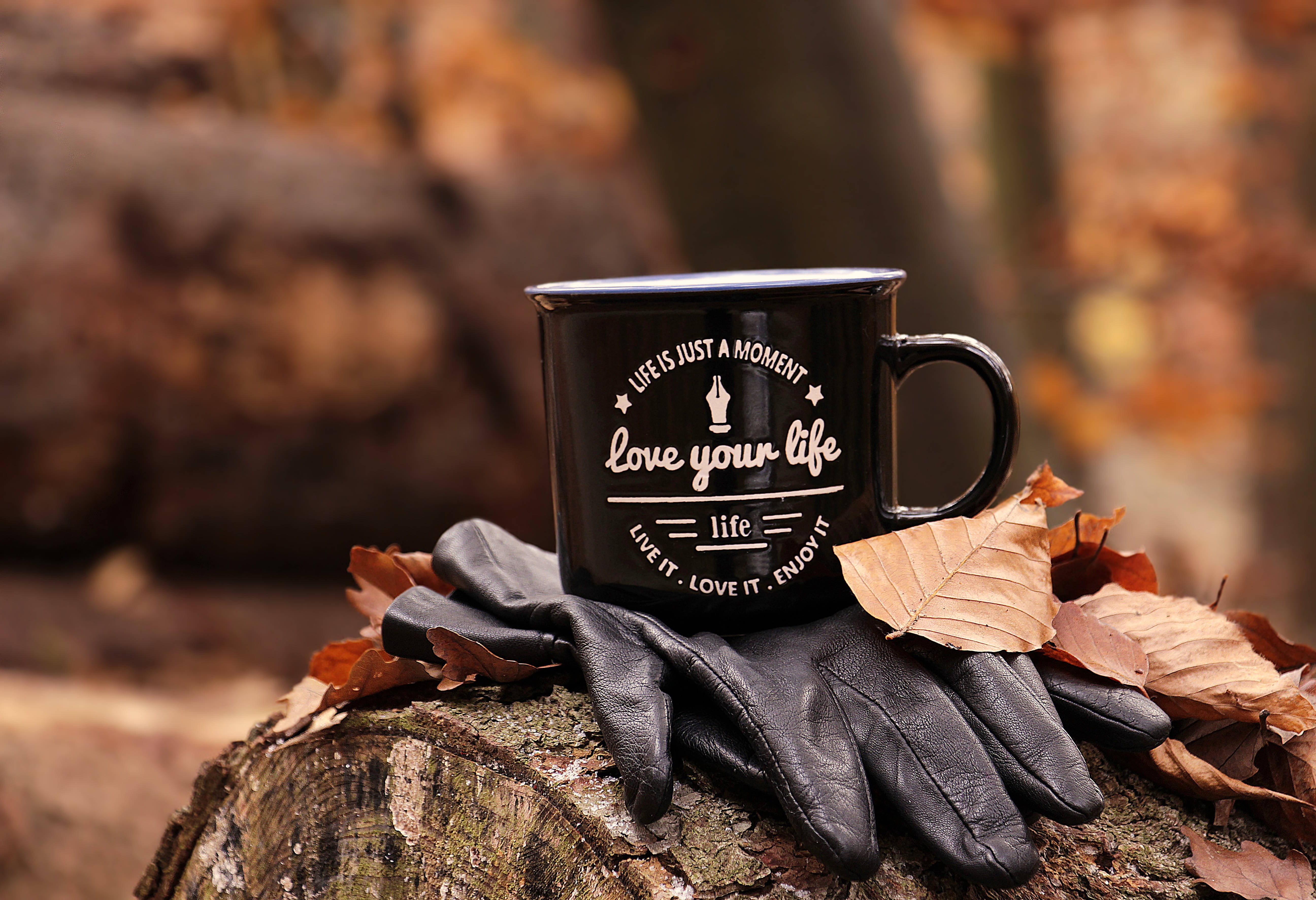 Fall Leaves, black gloves, mossy log, 5K Desktop Wallpaper