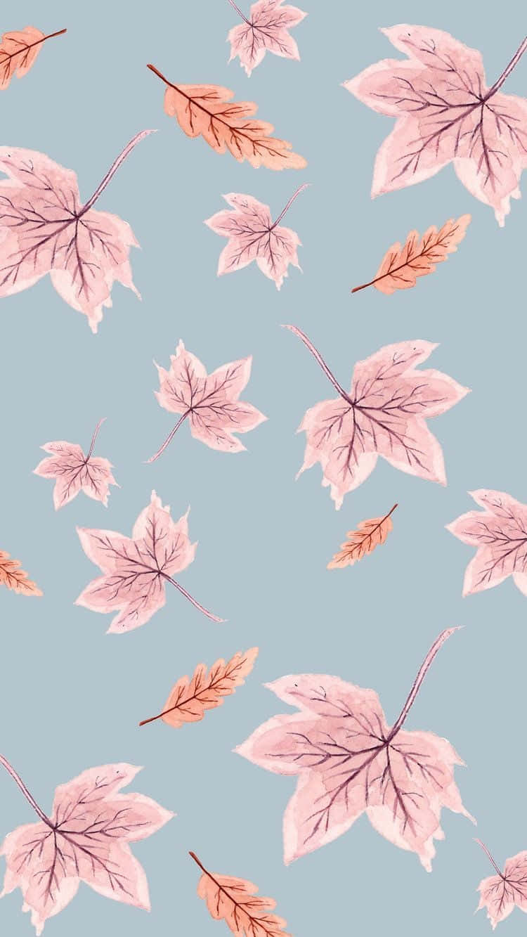 pink fall, maple leaves, orange, HD Phone Wallpaper