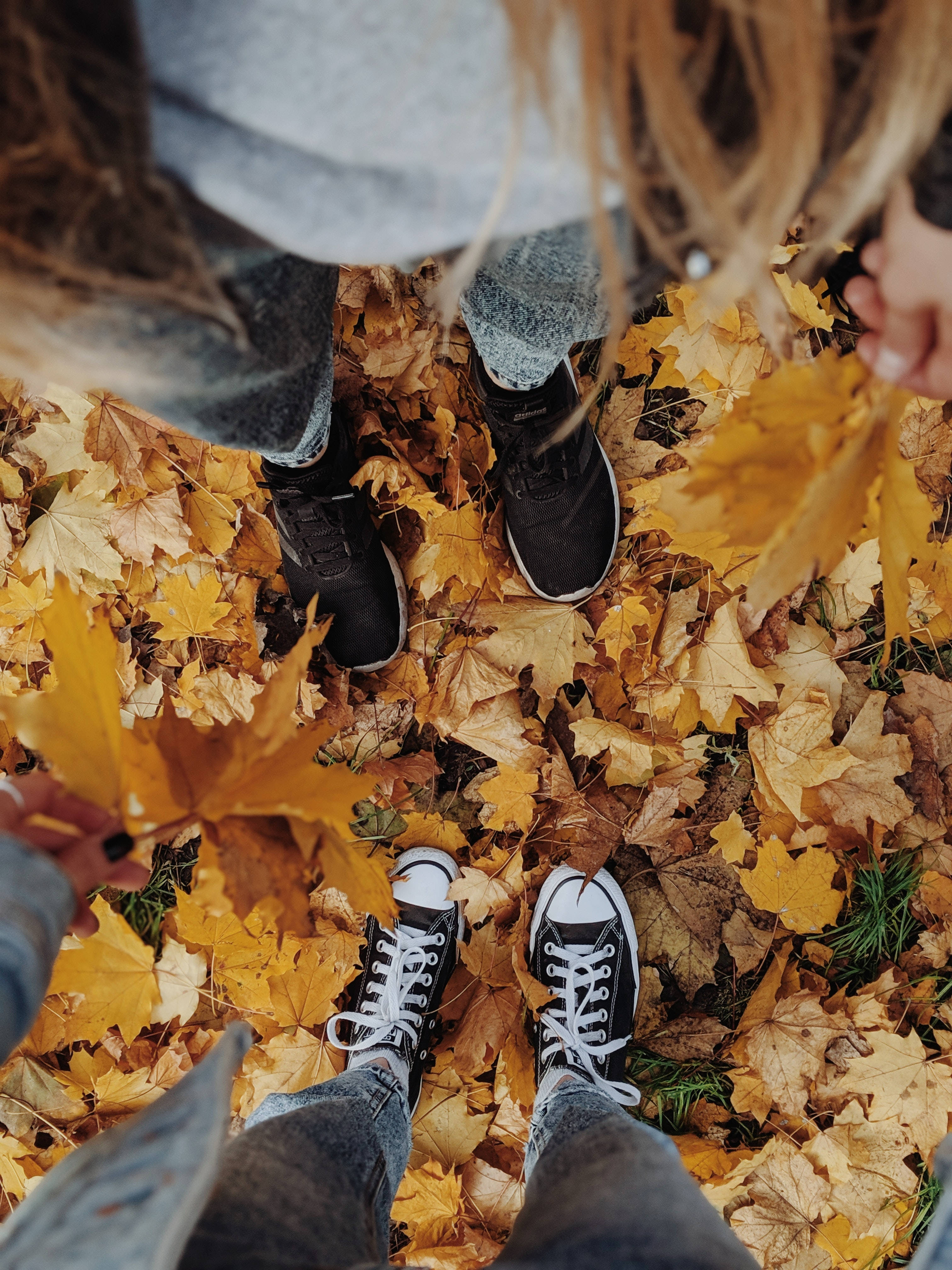 couples, fall leaves, golden autumn leaves, 4K Phone Wallpaper