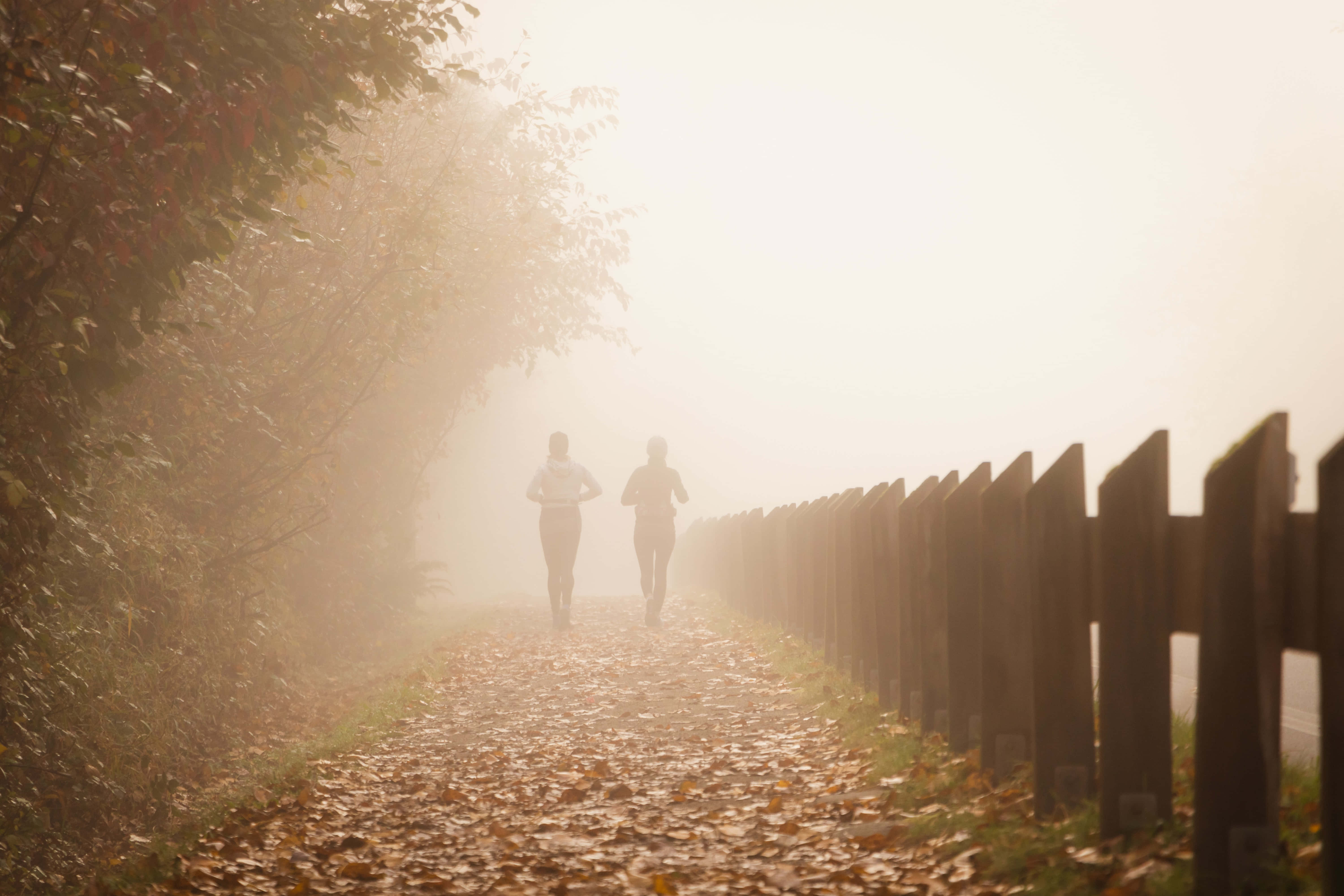 Fall Fog, autumn path, fallen leaves, 5K Desktop Wallpaper