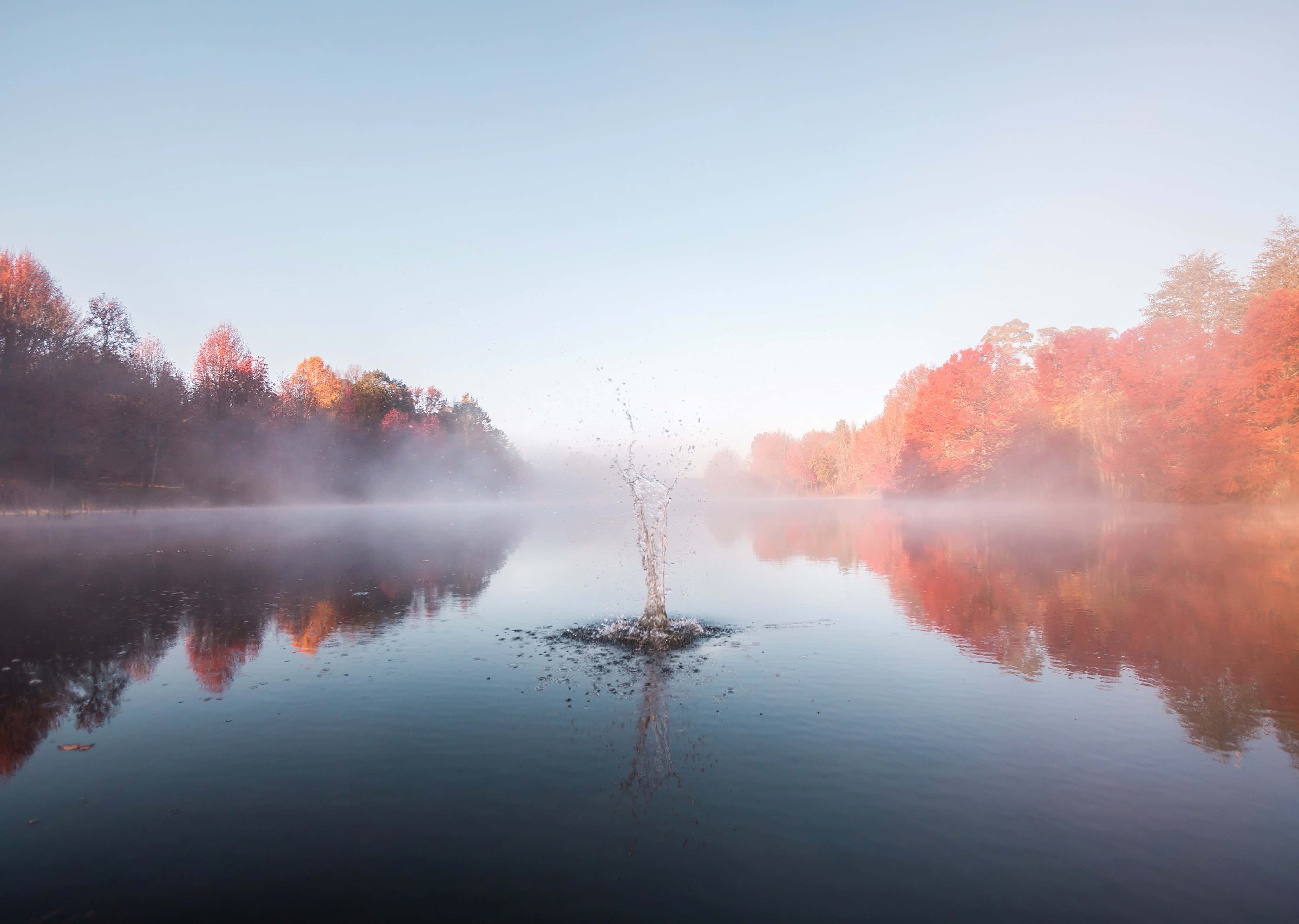 Fall Fog, autumn lake, dawn, 4K Desktop Wallpaper