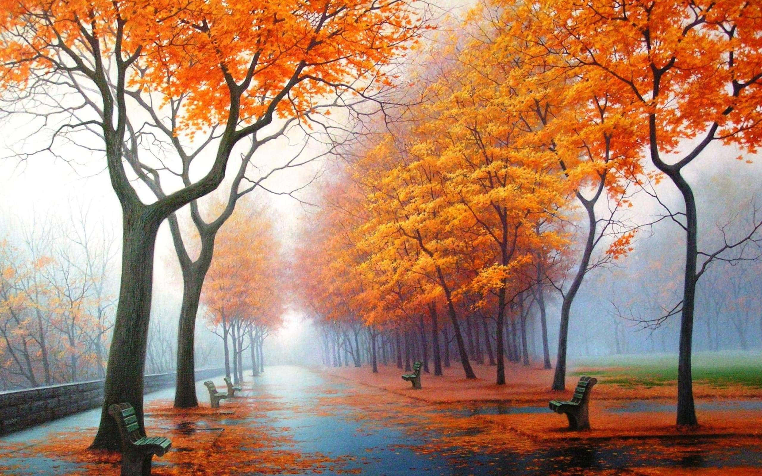 Fall Mist, autumn park path, fiery orange trees, 2K Desktop Wallpaper