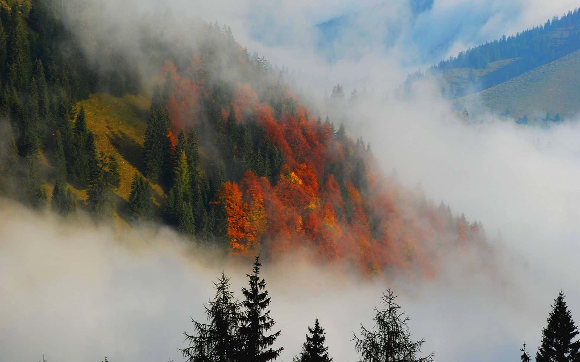 Fall Mist, autumn mountains, vibrant red and orange foliage, Full HD Desktop Wallpaper