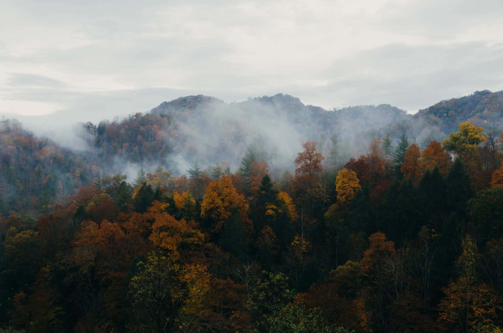 Fall Mist, autumn mountains, vibrant orange and green foliage, HD Desktop Wallpaper