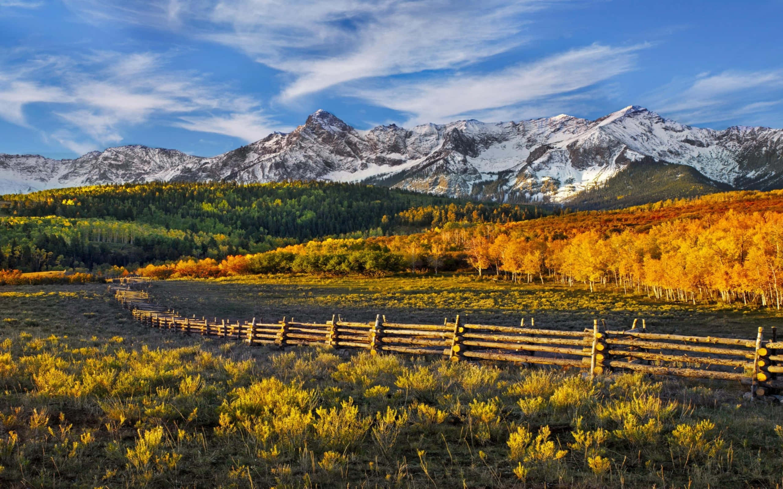 Fall Mountain, golden aspen fields, snow-capped mountains, 2K Desktop Wallpaper