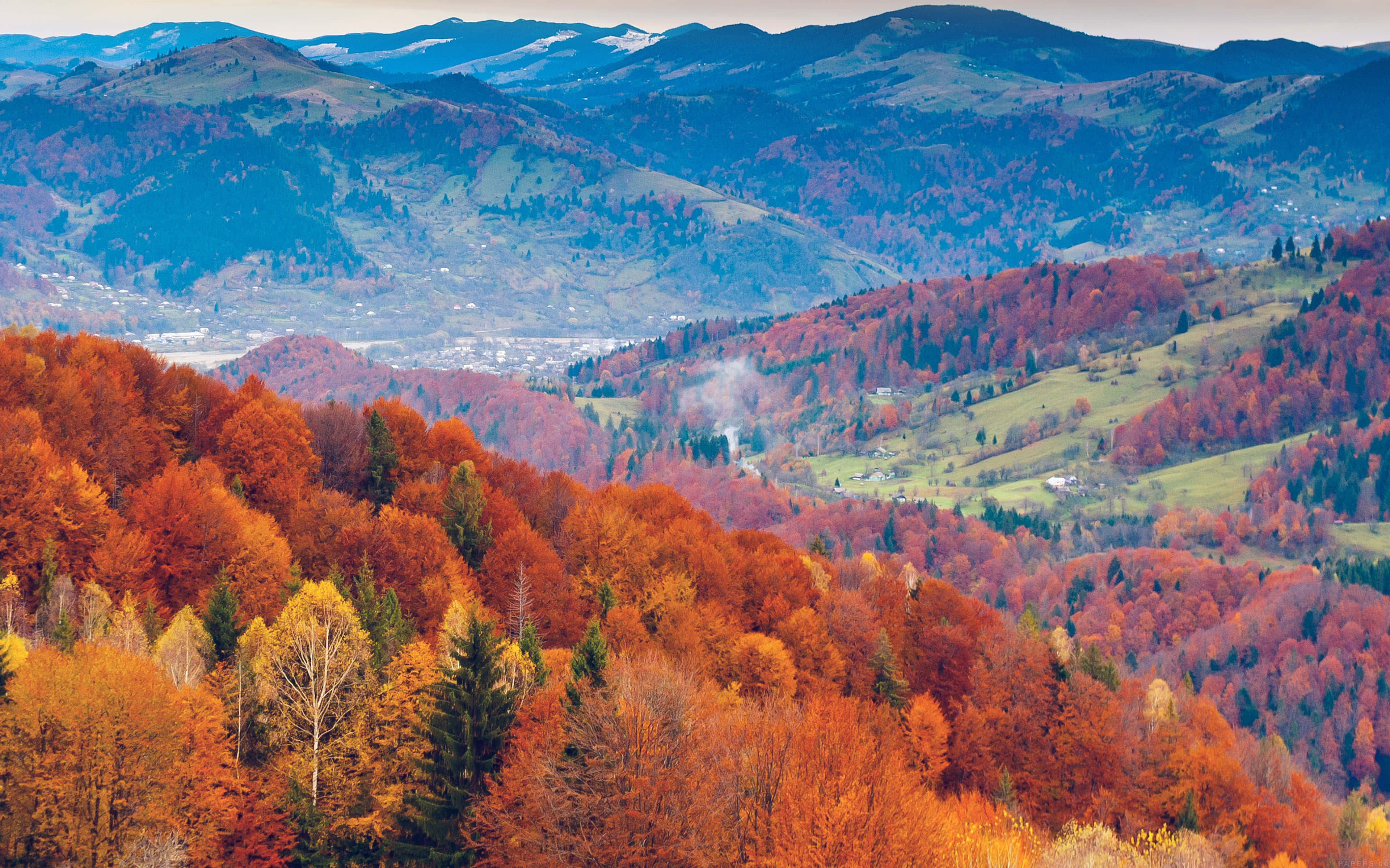 Fall Mountain, autumn forests, fiery reds oranges and yellows, 4K Desktop Wallpaper