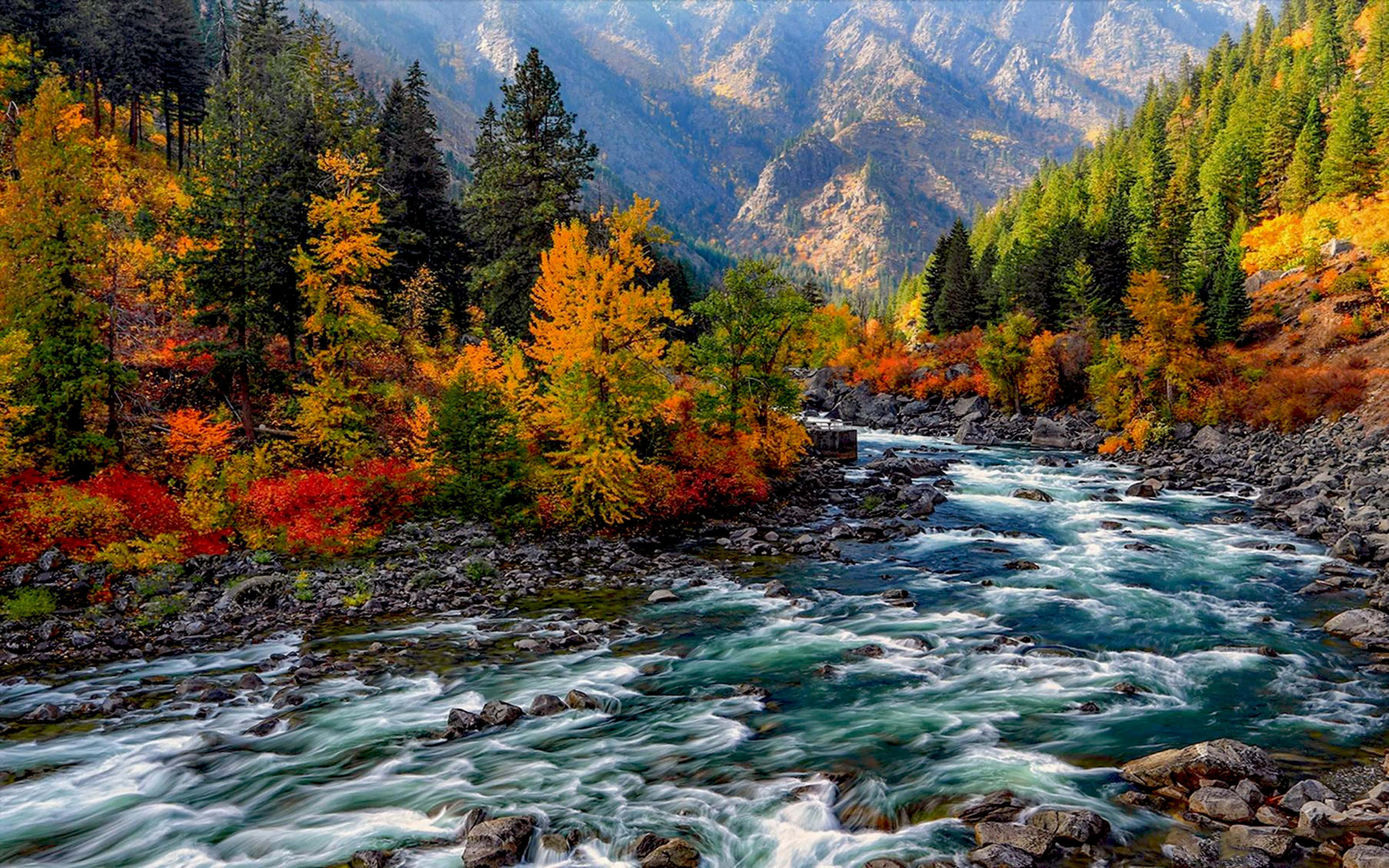 Fall Mountain, autumn river, rocky riverbed, 4K Desktop Wallpaper