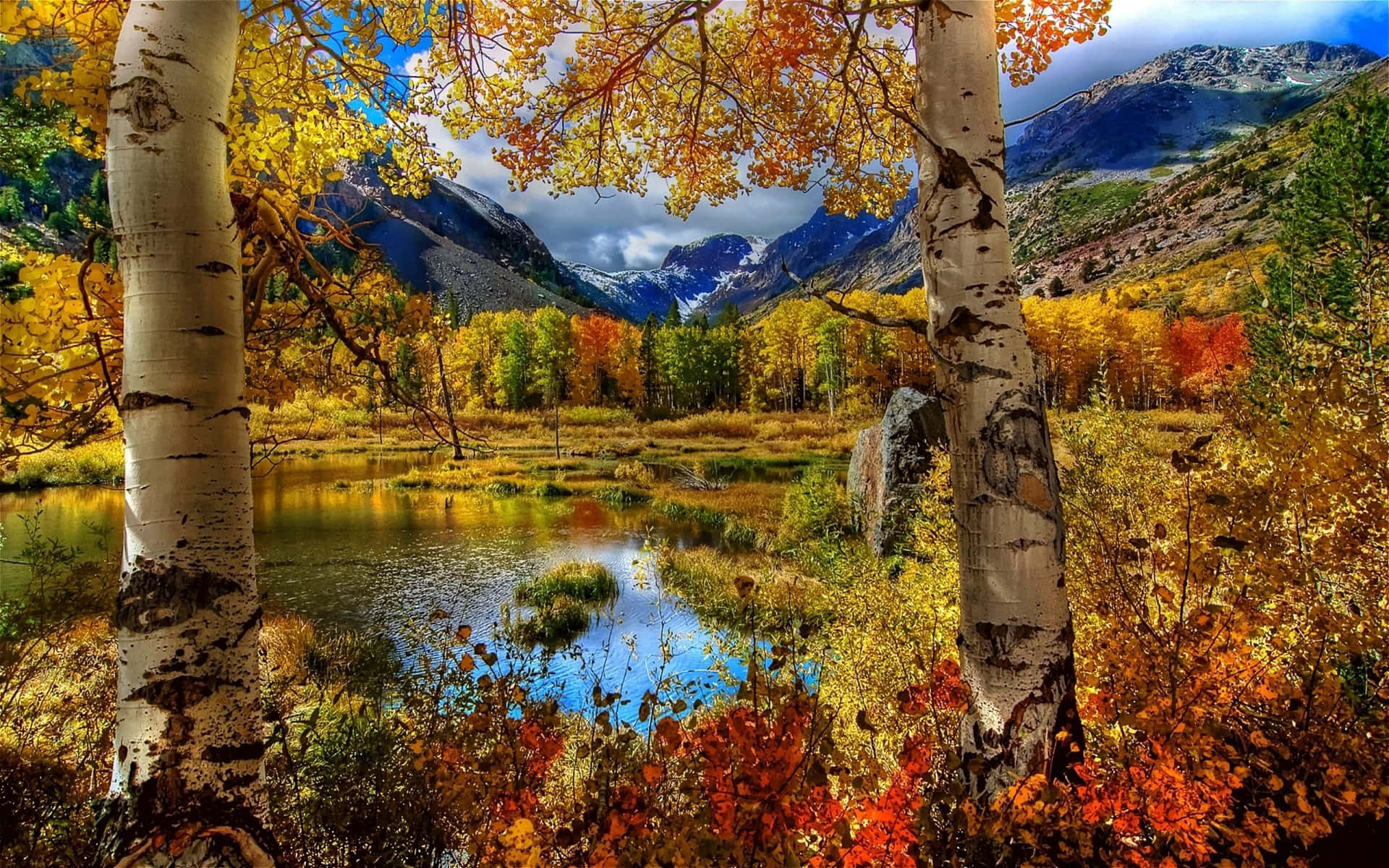 Fall Mountain, autumn aspen trees, alpine lake, Full HD Desktop Wallpaper
