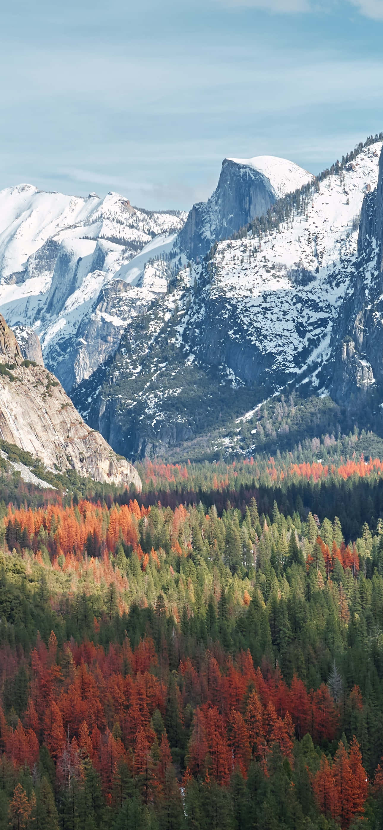 Fall Mountains, snow capped granite peaks, valley of fiery red and green autumn trees, 2K Phone Wallpaper