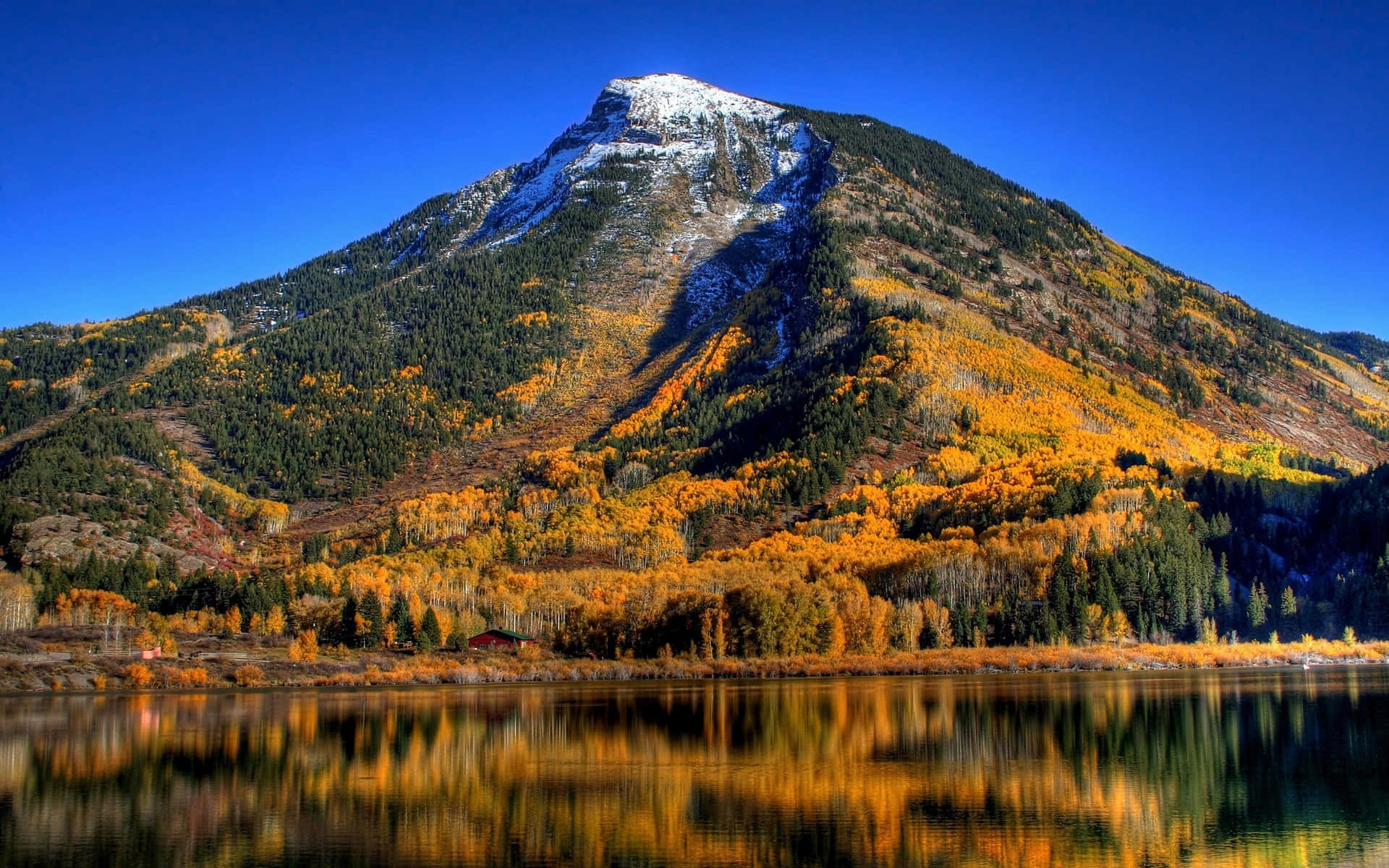 Fall Mountain, snow-capped mountain, golden autumn trees, Full HD Desktop Wallpaper