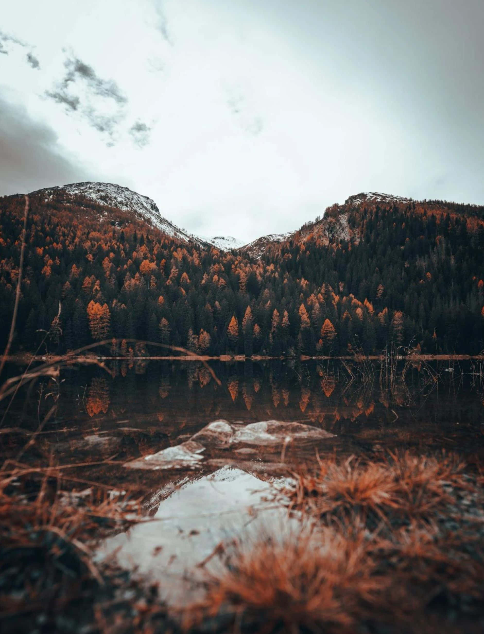 Fall Mountains, misty mountain lake, autumn trees, Full HD Phone Wallpaper