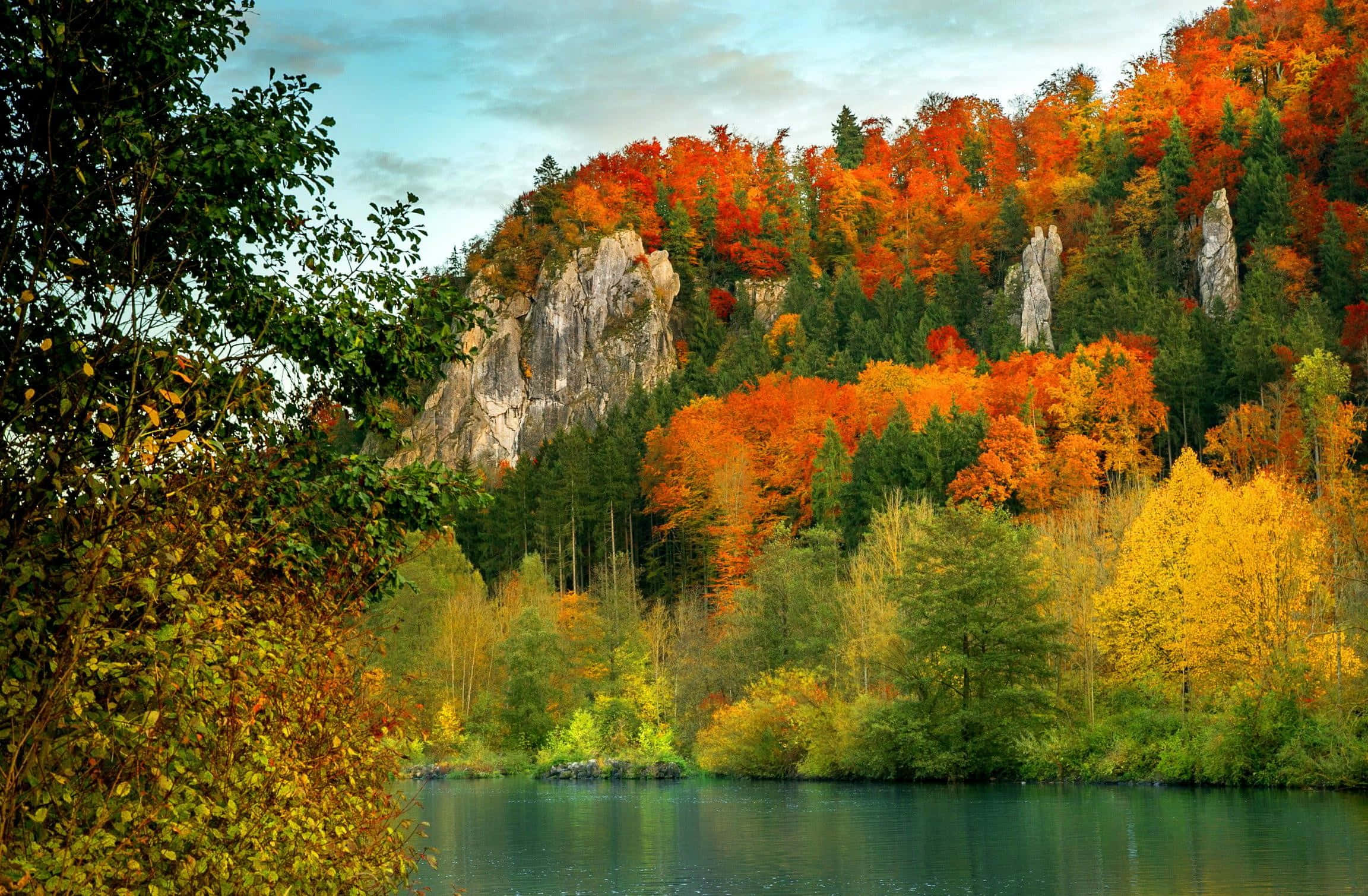 Fall Mountains, autumn forest, fiery red orange trees, Full HD Desktop Wallpaper