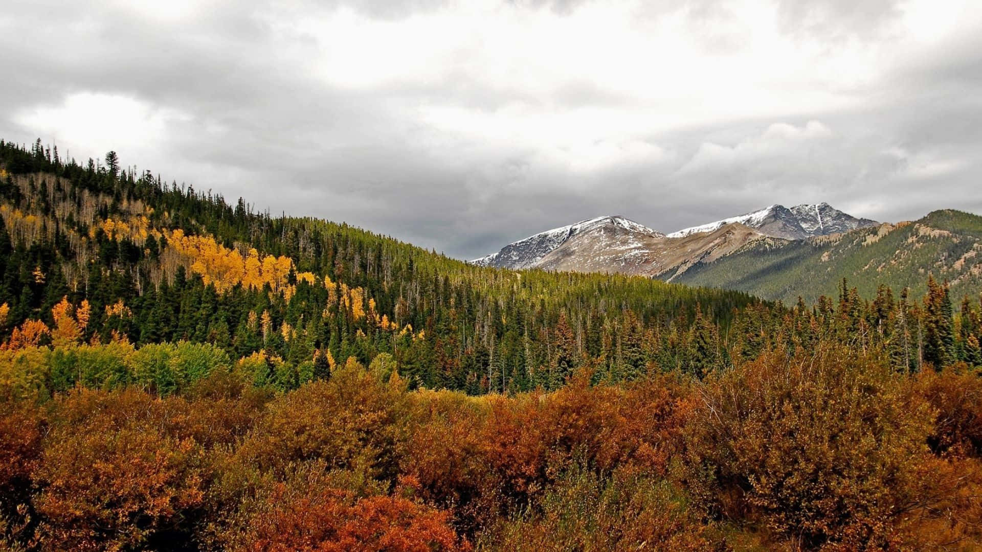 Fall Mountains, autumn forest, golden trees, Full HD Desktop Wallpaper