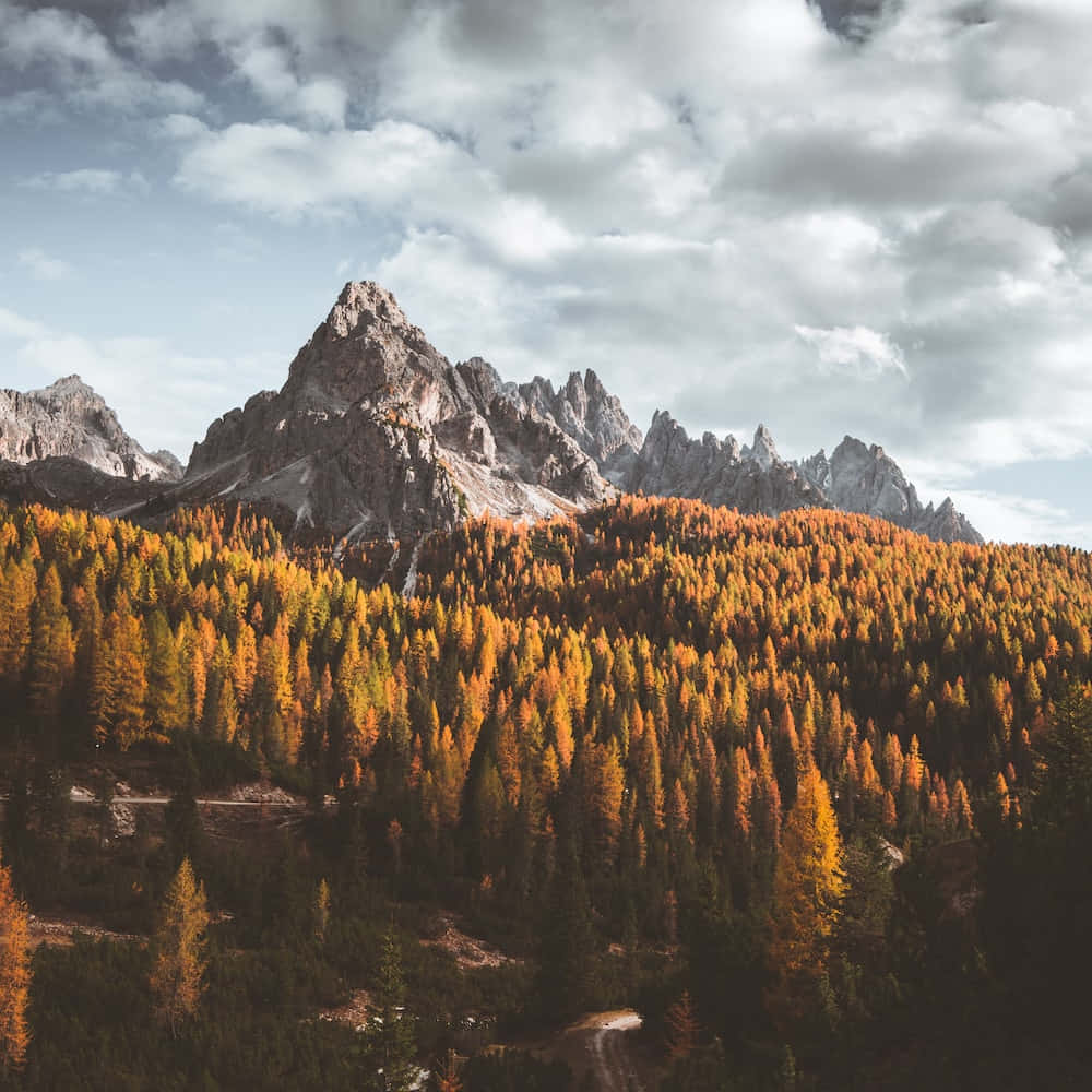 Fall Mountains, autumn golds, mountain range, SD Desktop Wallpaper