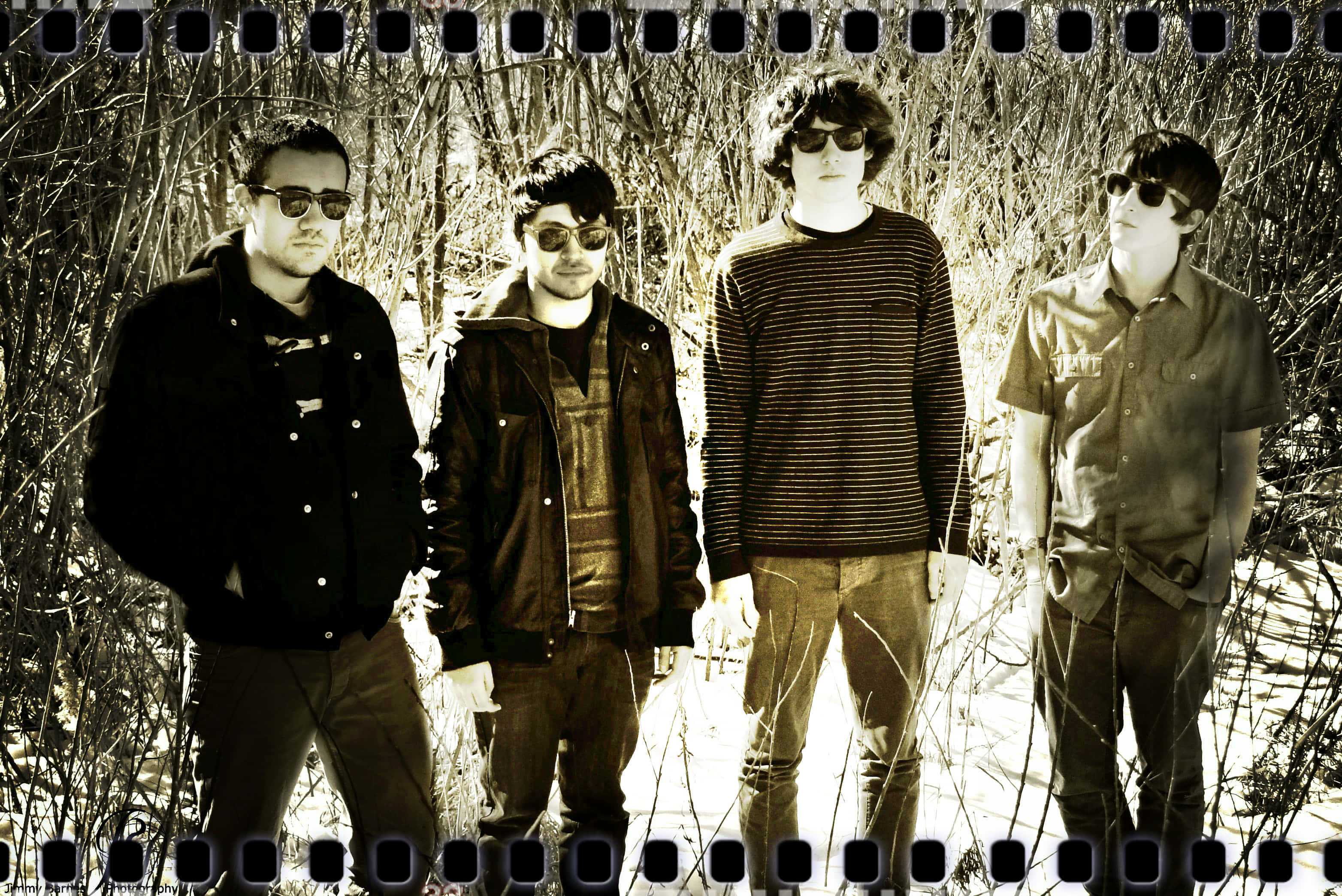 Fall out boy, sunglasses, sunlit field, 2K Desktop Wallpaper