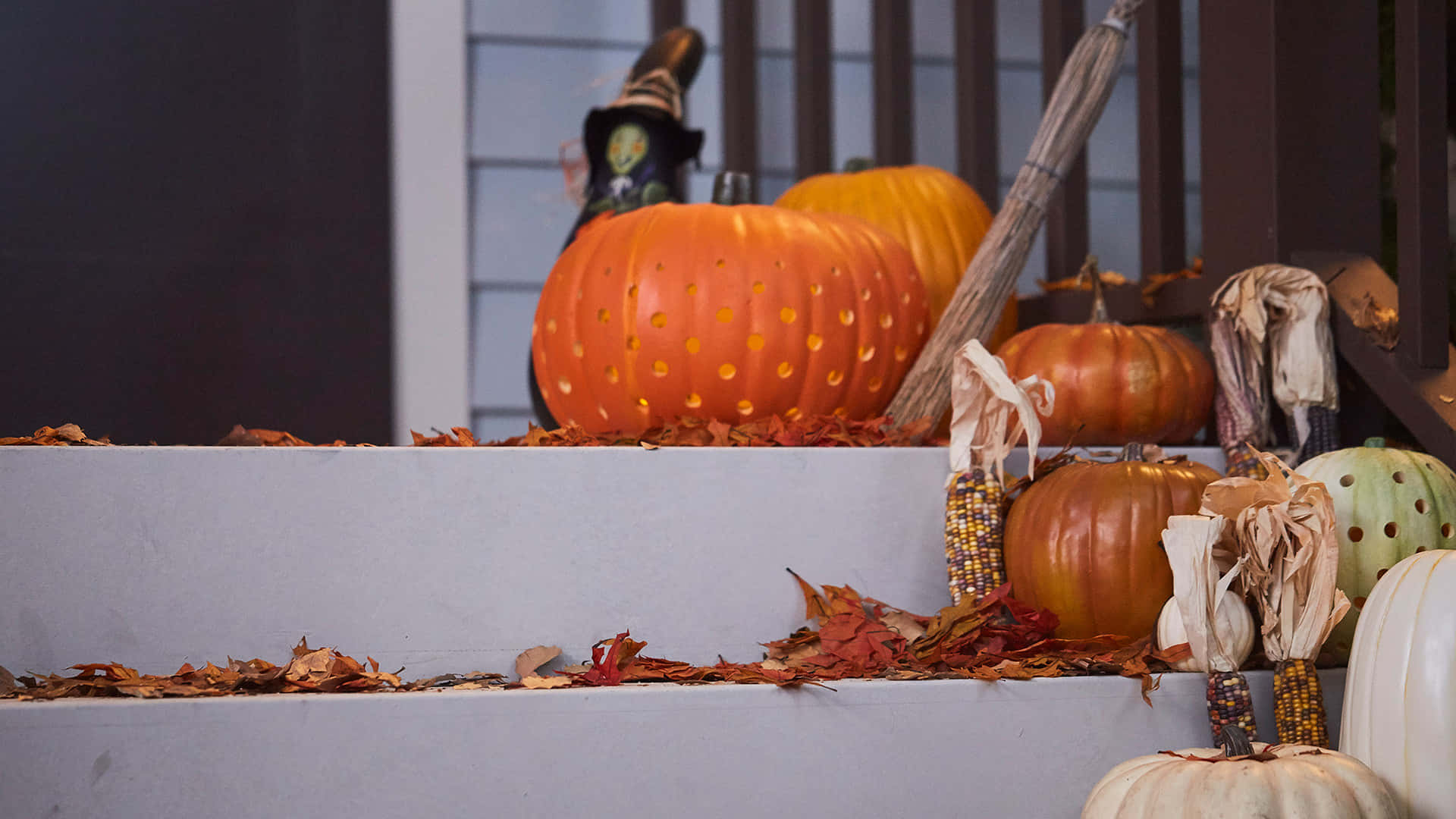 Zoom Party Pumpkin Carving, pumpkins, autumn leaves, Full HD Desktop Wallpaper