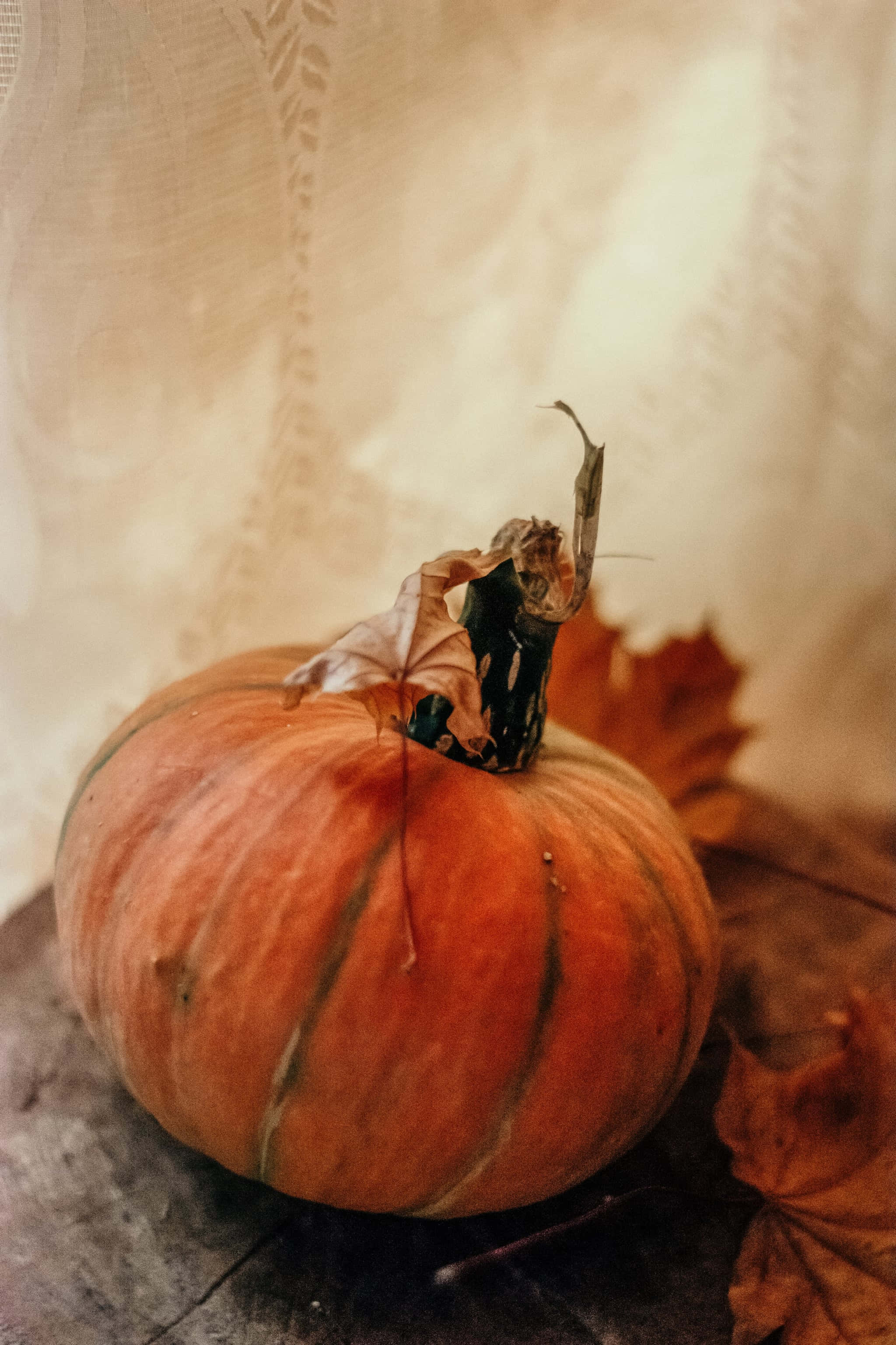 autumn pumpkin, fallen leaves, ripe orange pumpkin, 2K Phone Wallpaper