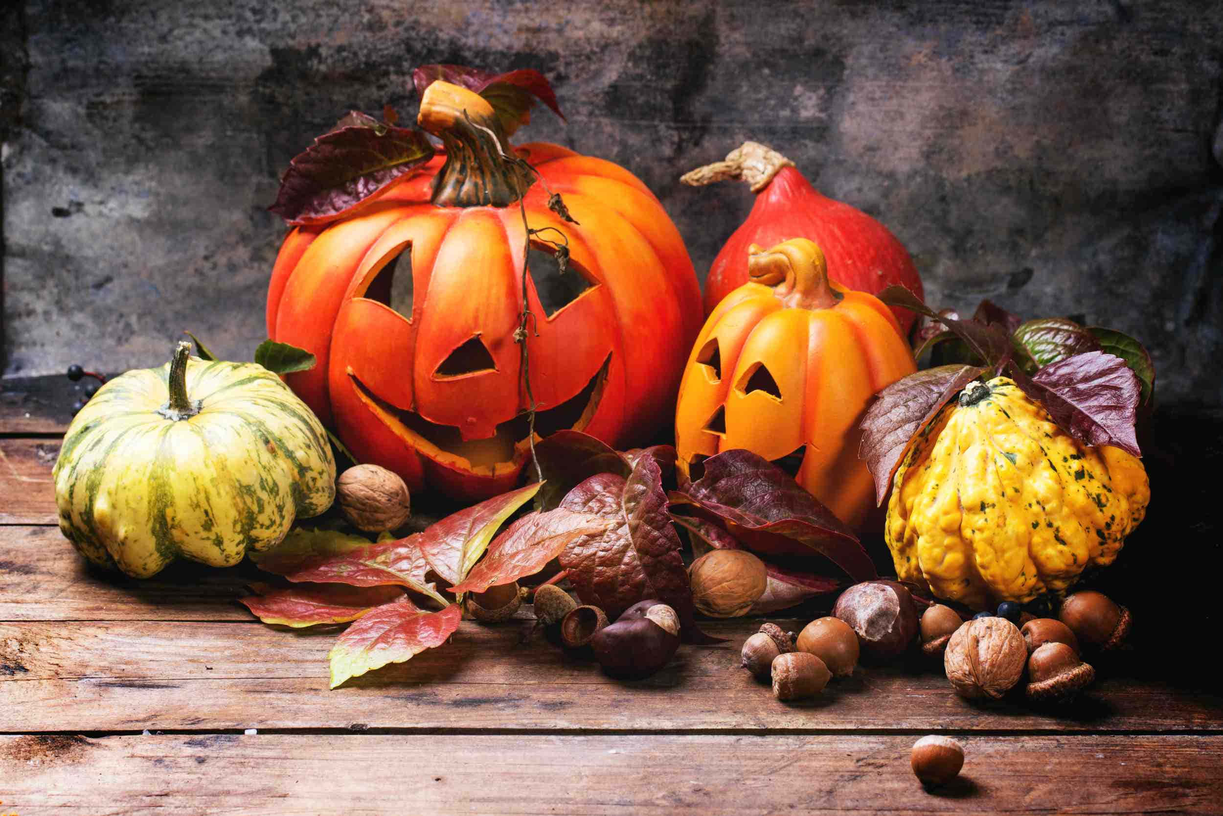 jack-o'-lanterns, gourds, autumn leaves, Full HD Desktop Wallpaper