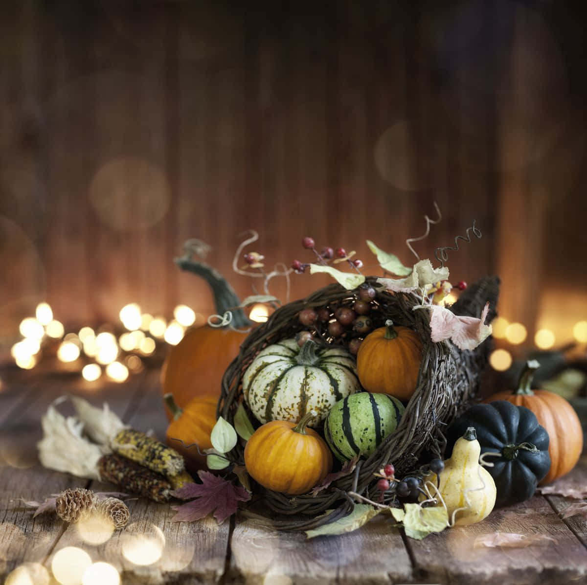 Fall Cornucopia, rustic cornucopia, colorful pumpkins, SD Desktop Wallpaper