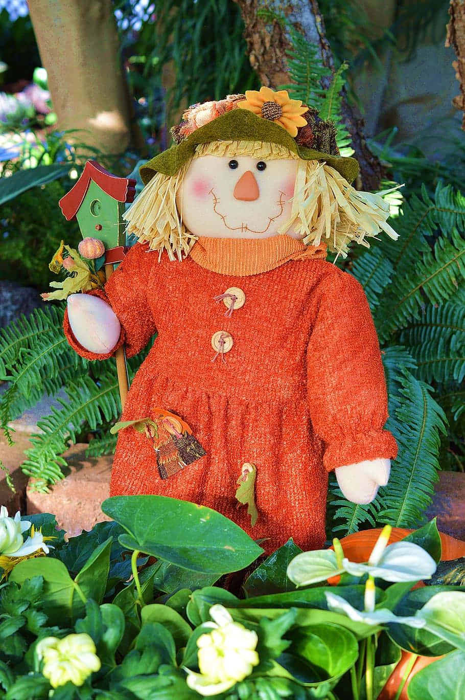 Fall Scarecrow, orange knit dress, pumpkin patch, HD Phone Wallpaper