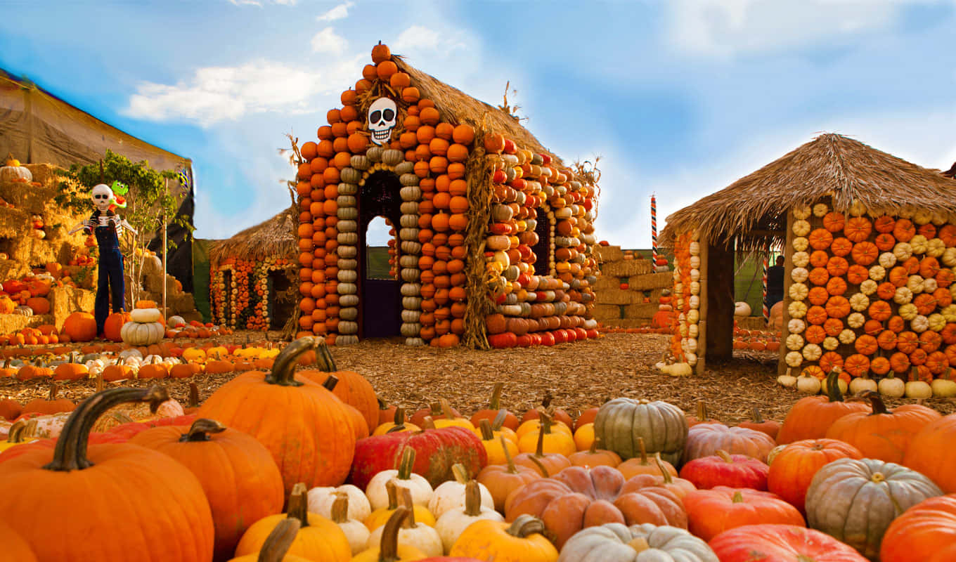 Fall Pumpkins, rustic wood table, autumn, HD Desktop Wallpaper