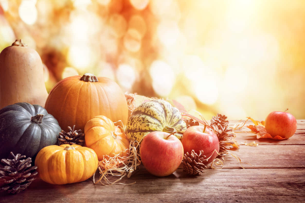 Fall Pumpkins, rustic autumn still life, pumpkins, SD Desktop Wallpaper