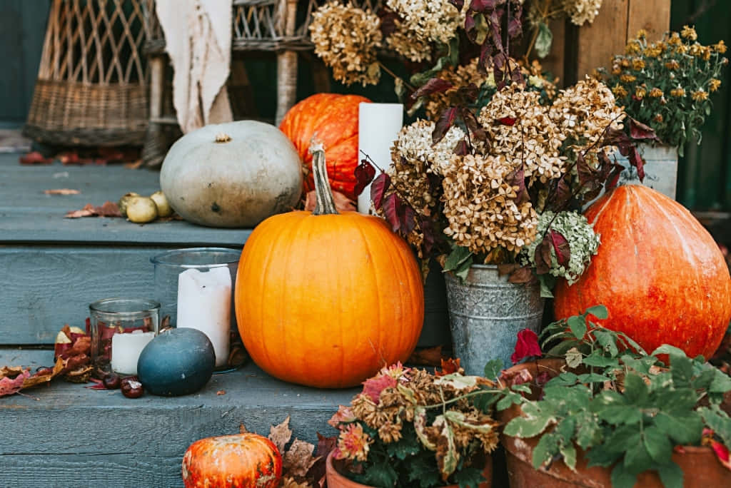 fall pumpkins, rustic autumn porch, dried hydrangeas, SD Desktop Wallpaper