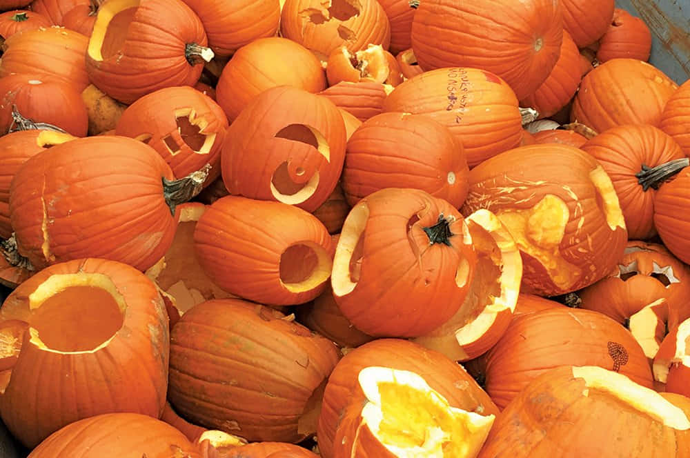 fall pumpkins, autumn scene, colorful fall pumpkins, SD Desktop Wallpaper