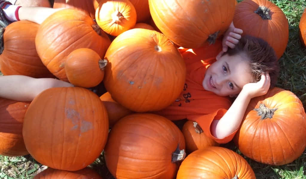 Fall Pumpkins, smiling child, bright orange pumpkins, SD Desktop Wallpaper