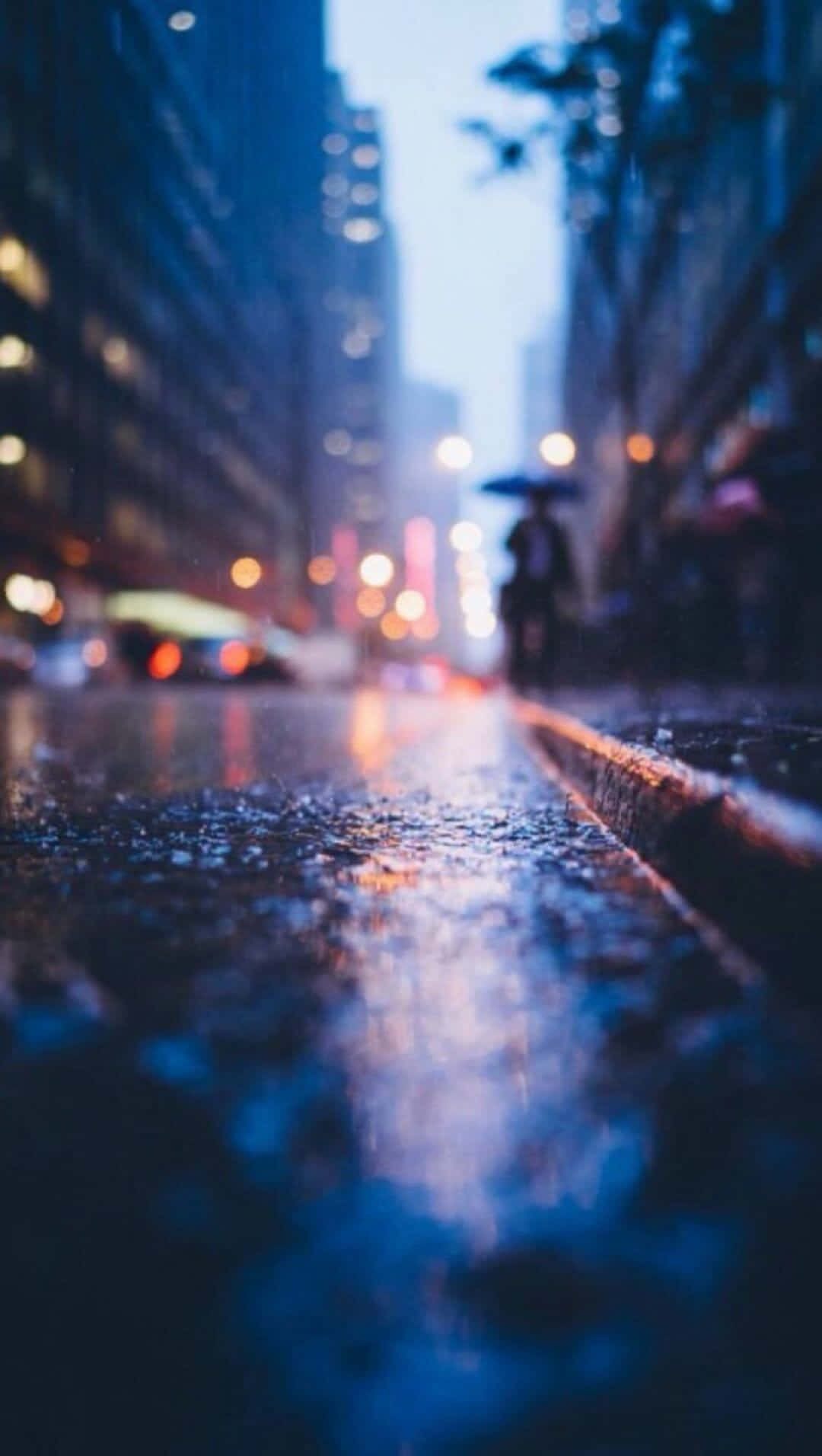 Rain, Autumn Day, Rain-slicked city street, HD Phone Wallpaper