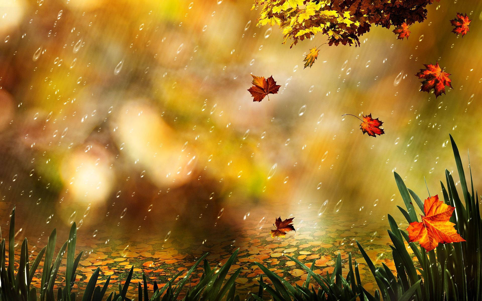 Golden autumn leaves, gentle rain, reflective pond, Full HD Desktop Wallpaper