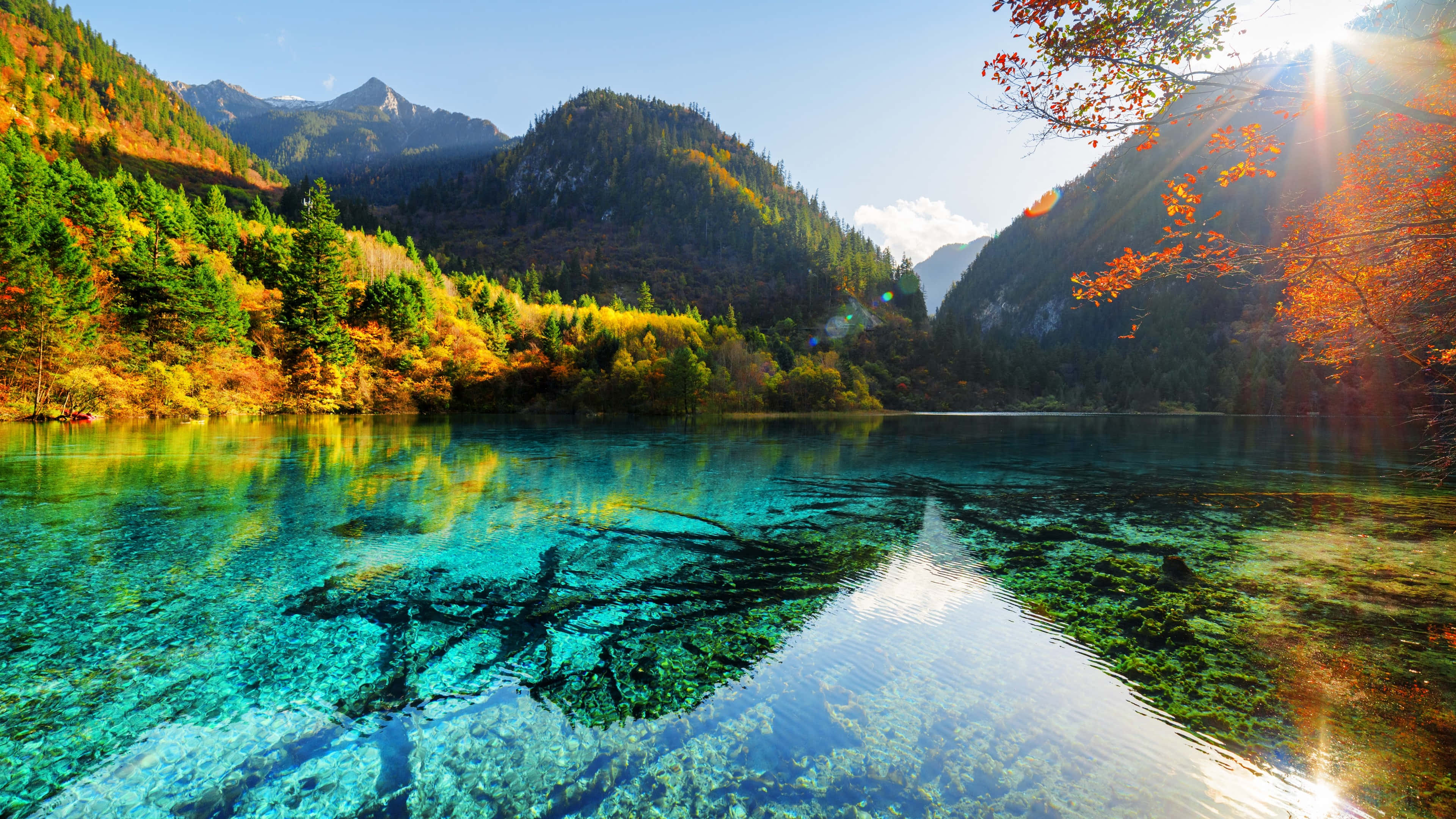 Fall River, autumn trees, crystal clear turquoise water, 4K Desktop Wallpaper