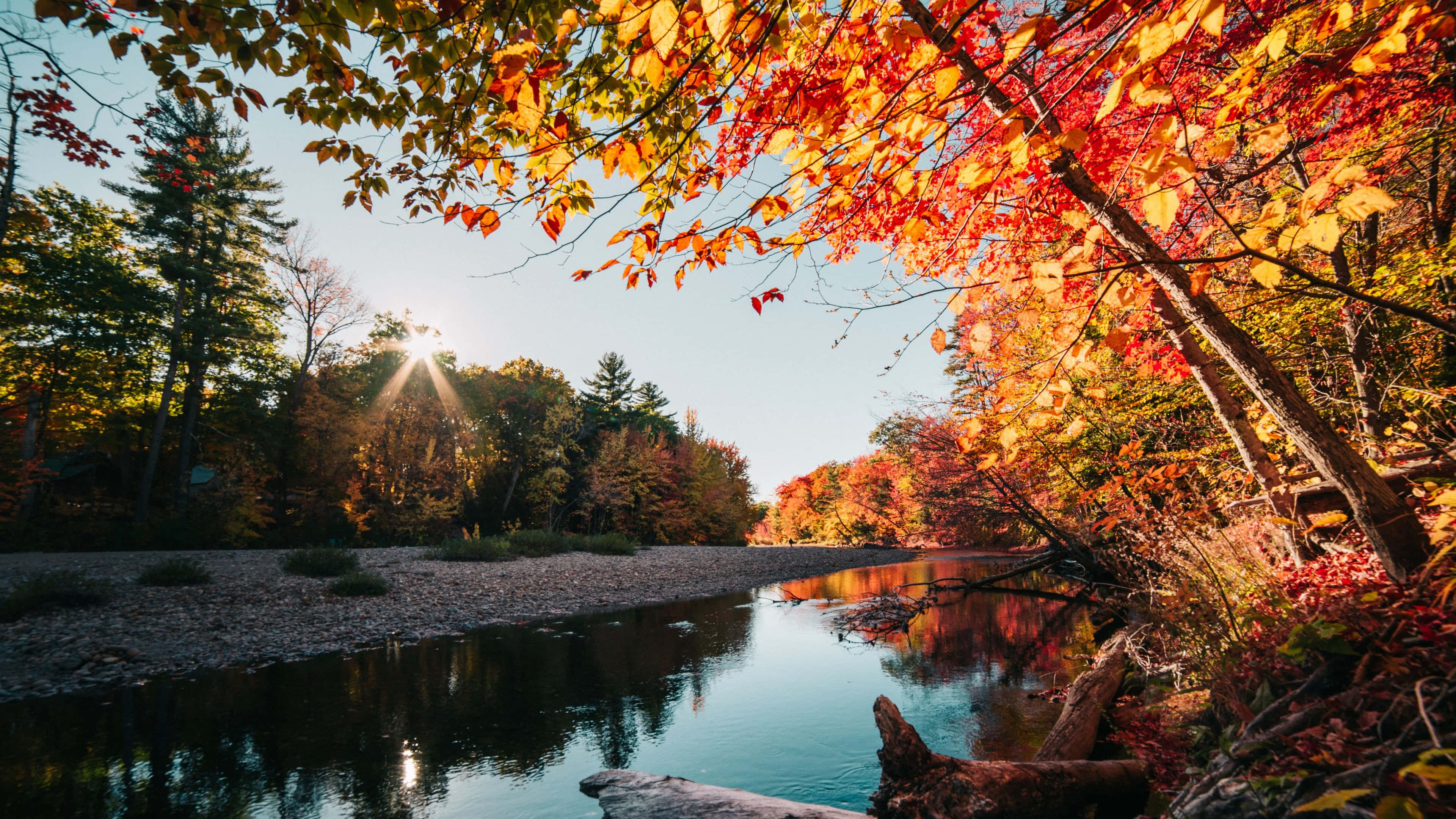 Fall Lake, autumn leaves, vibrant orange, 4K Desktop Wallpaper
