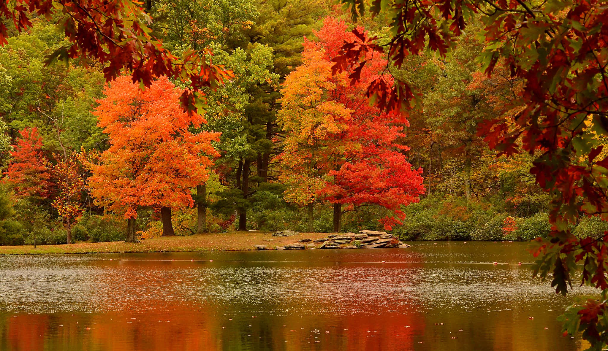 Fall River, autumn trees, fiery red and orange leaves, Full HD Desktop Wallpaper