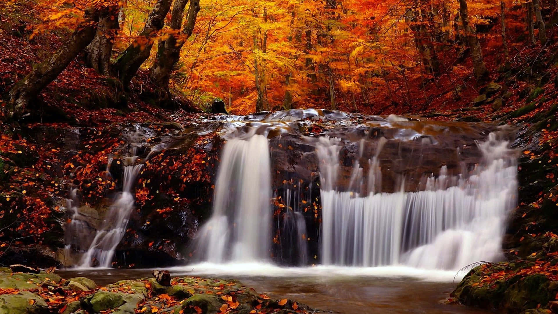 Fall River, autumn waterfall, forest, Full HD Desktop Wallpaper