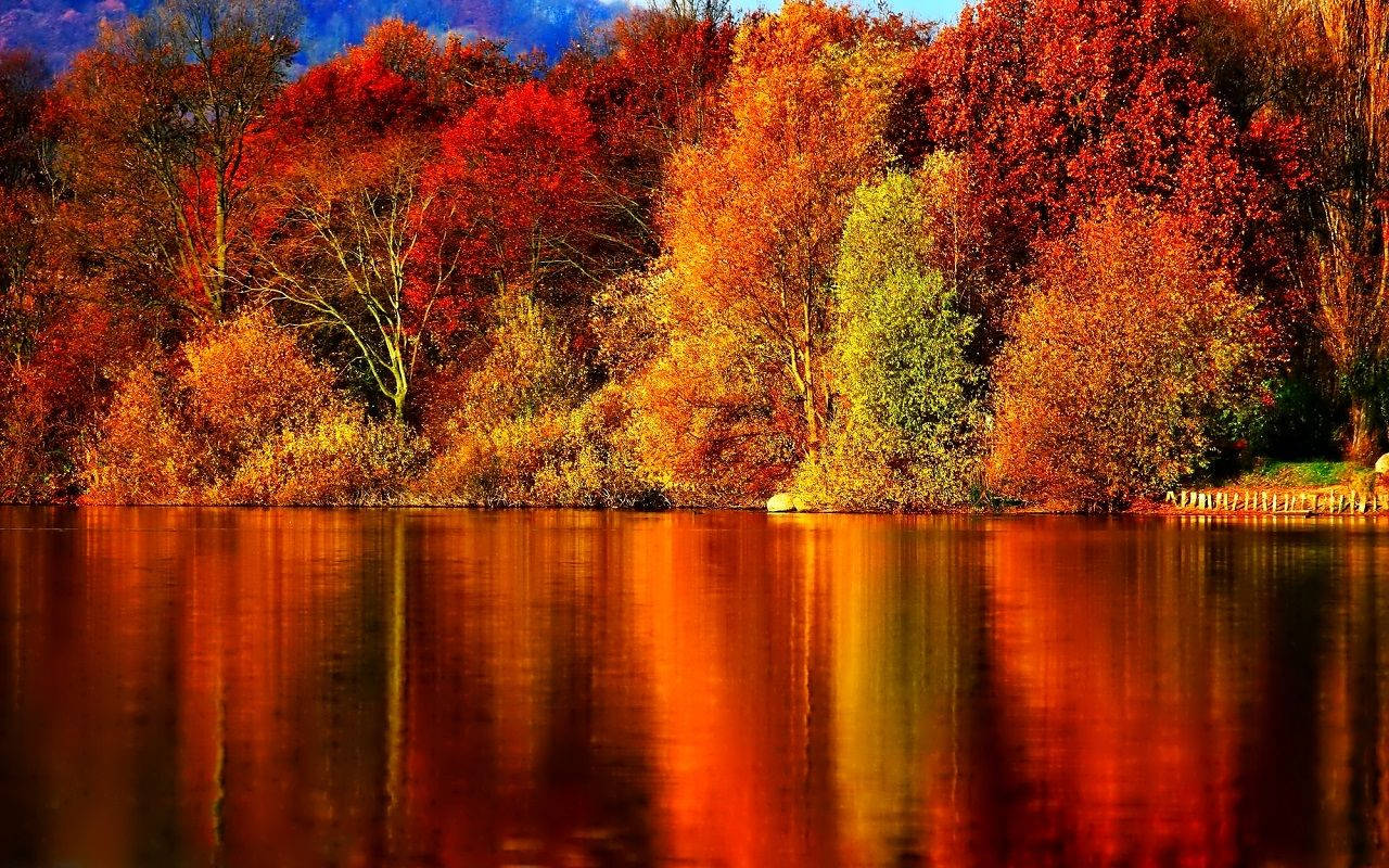 Fall River, lake, autumn trees, HD Desktop Wallpaper