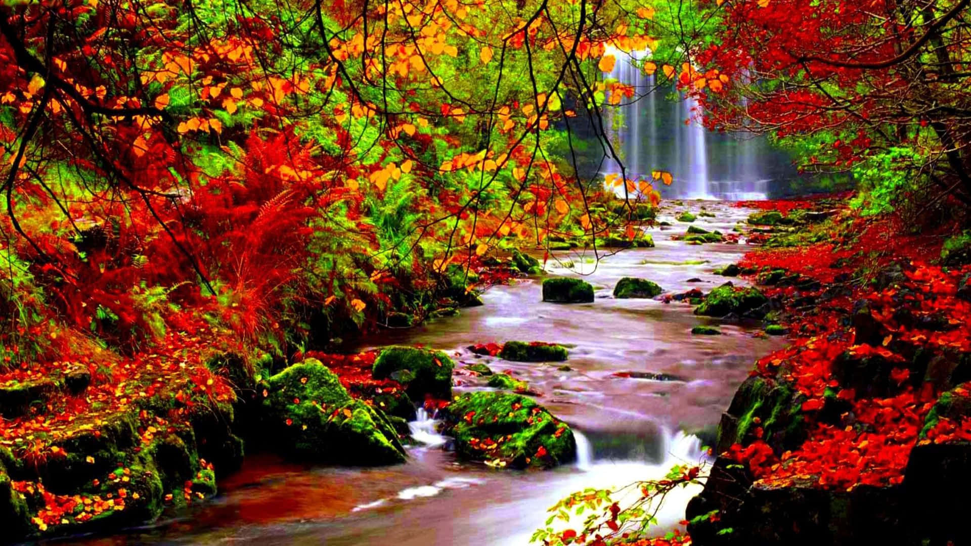 Fall River, autumn forest, rushing stream, Full HD Desktop Wallpaper