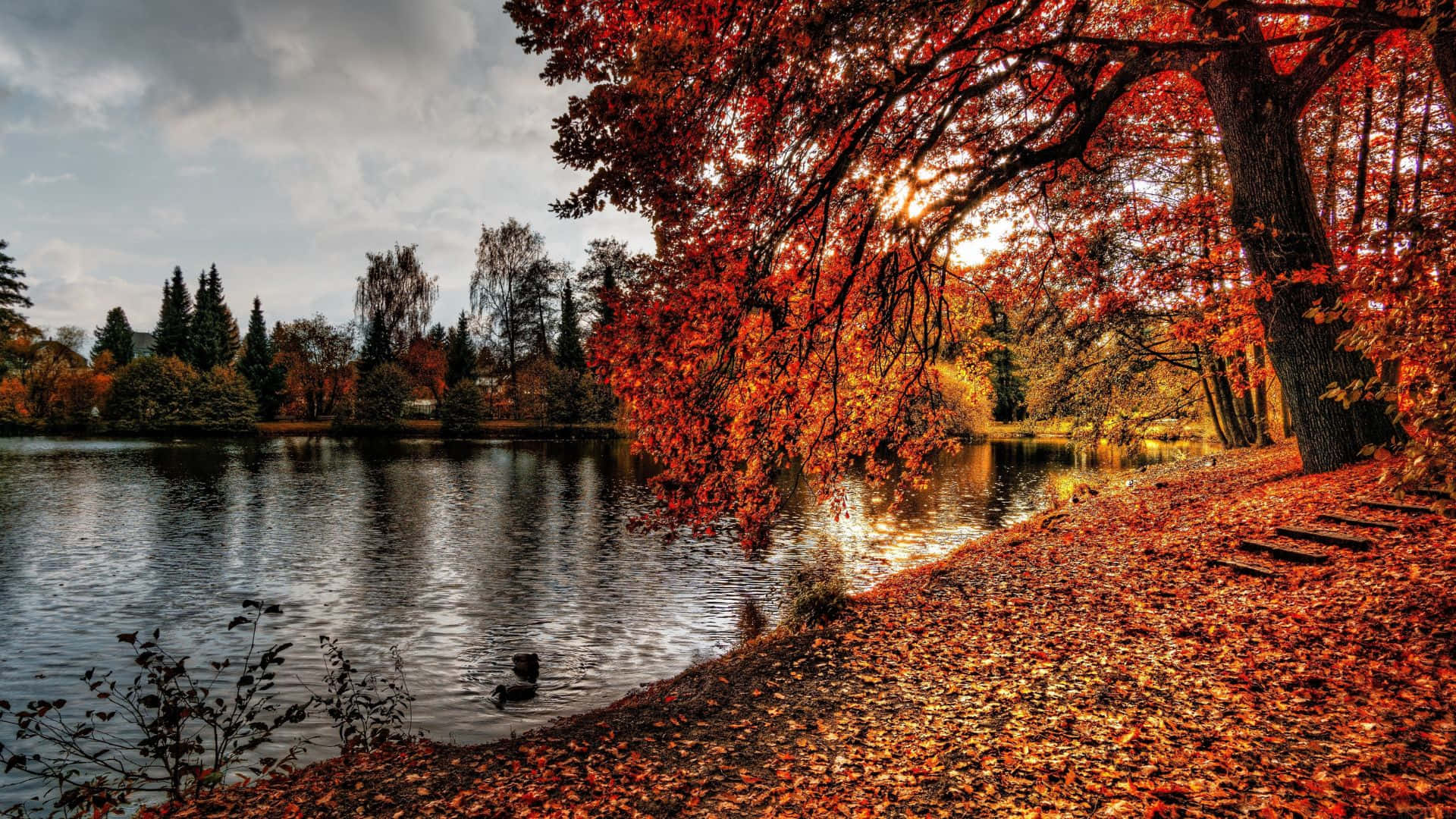 Fall Lake, autumn lake, fiery red trees, Full HD Desktop Wallpaper