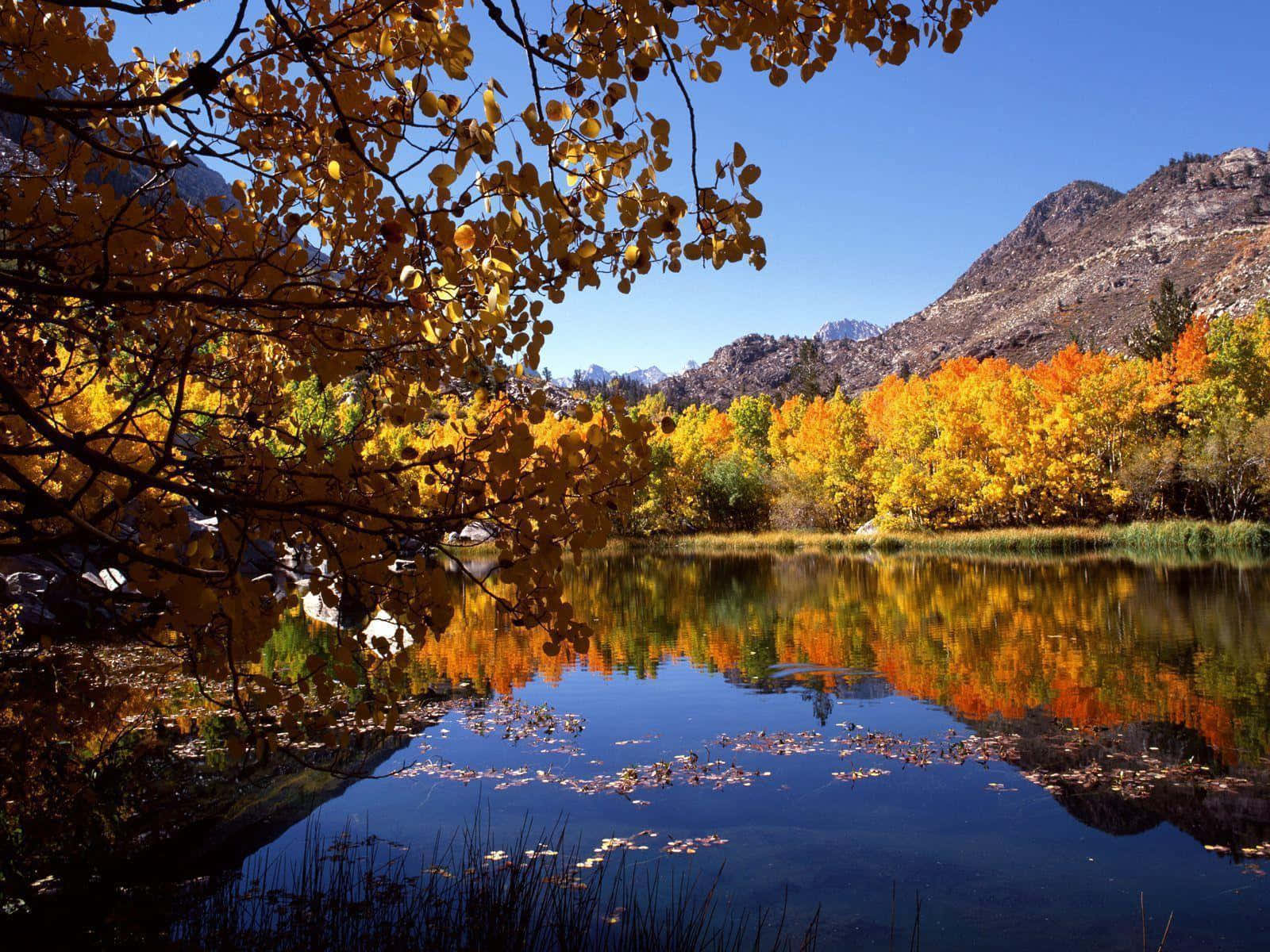 Fall River, autumn leaves, serene lake, HD Desktop Wallpaper