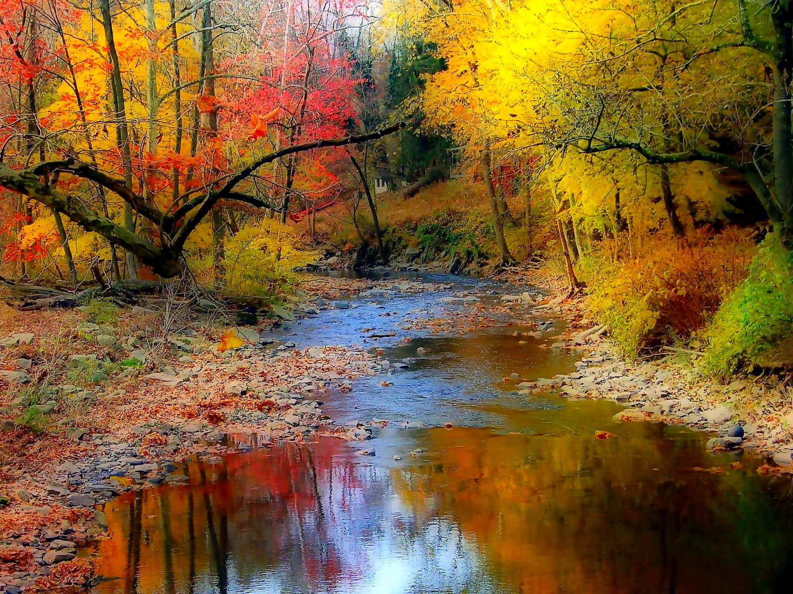 Fall River, autumn forest, winding stream, HD Desktop Wallpaper