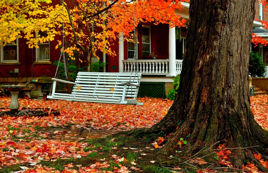 Fall Road