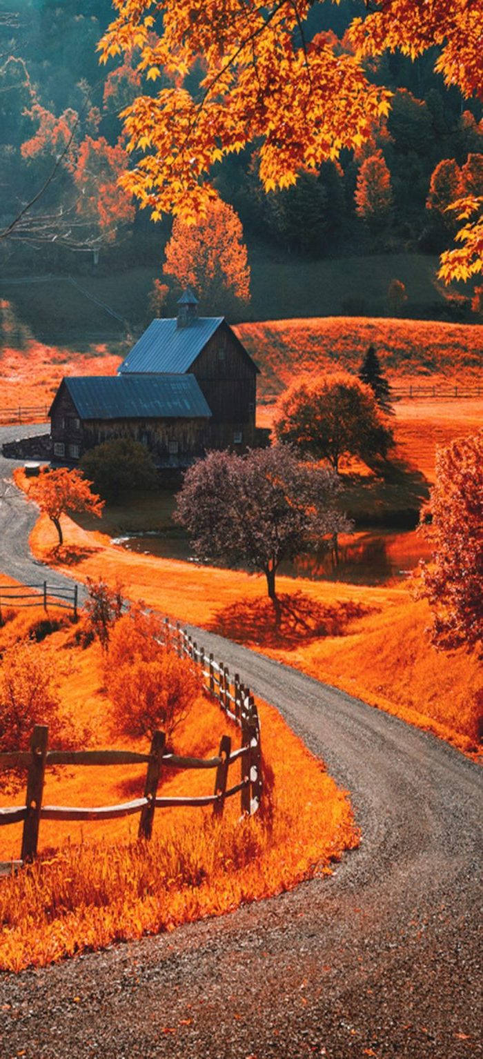 winding gravel road, rustic barn, fiery orange autumn trees, HD Phone Wallpaper