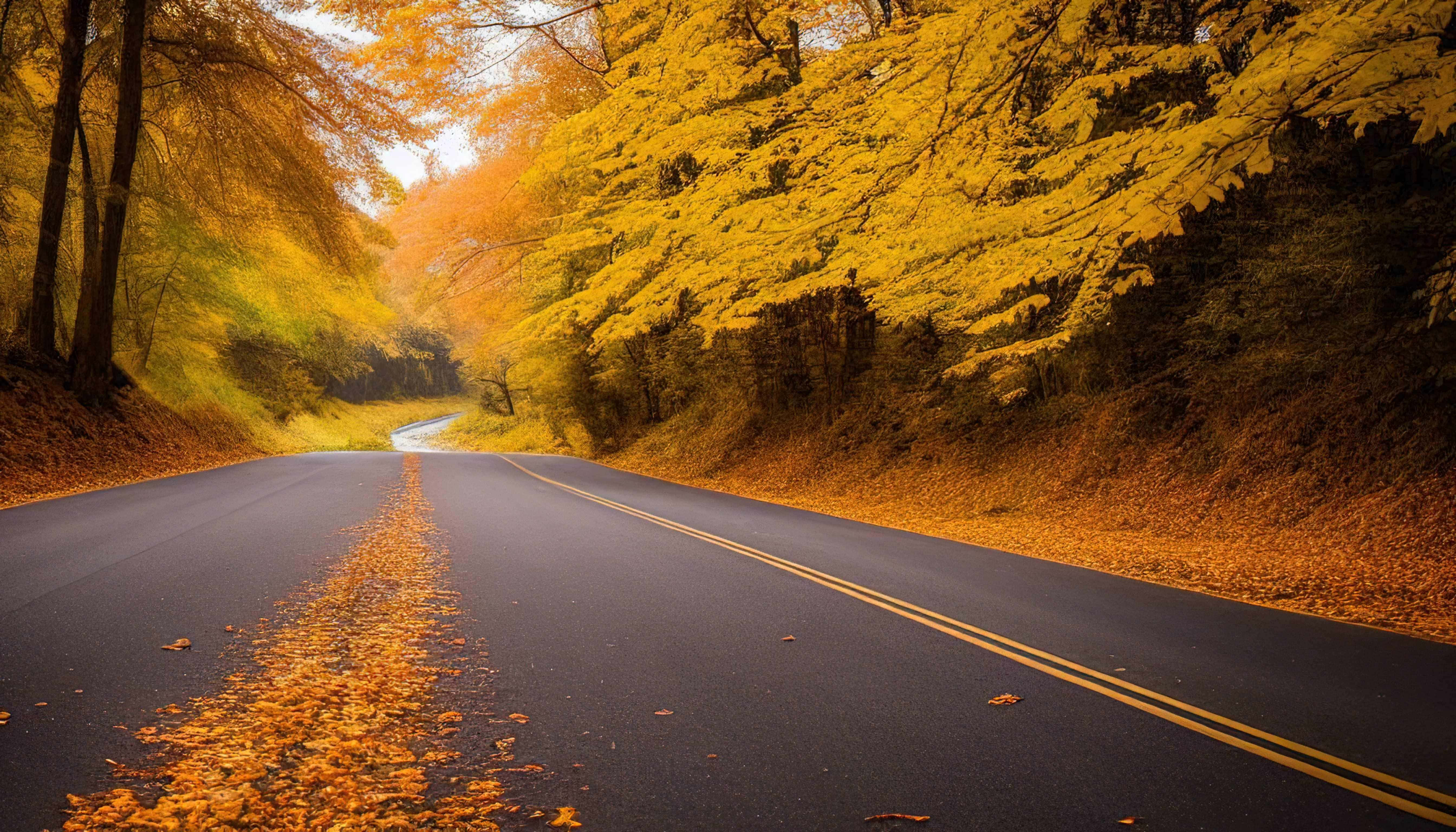 Autumn Road, golden autumn leaves, winding road, 5K Desktop Wallpaper
